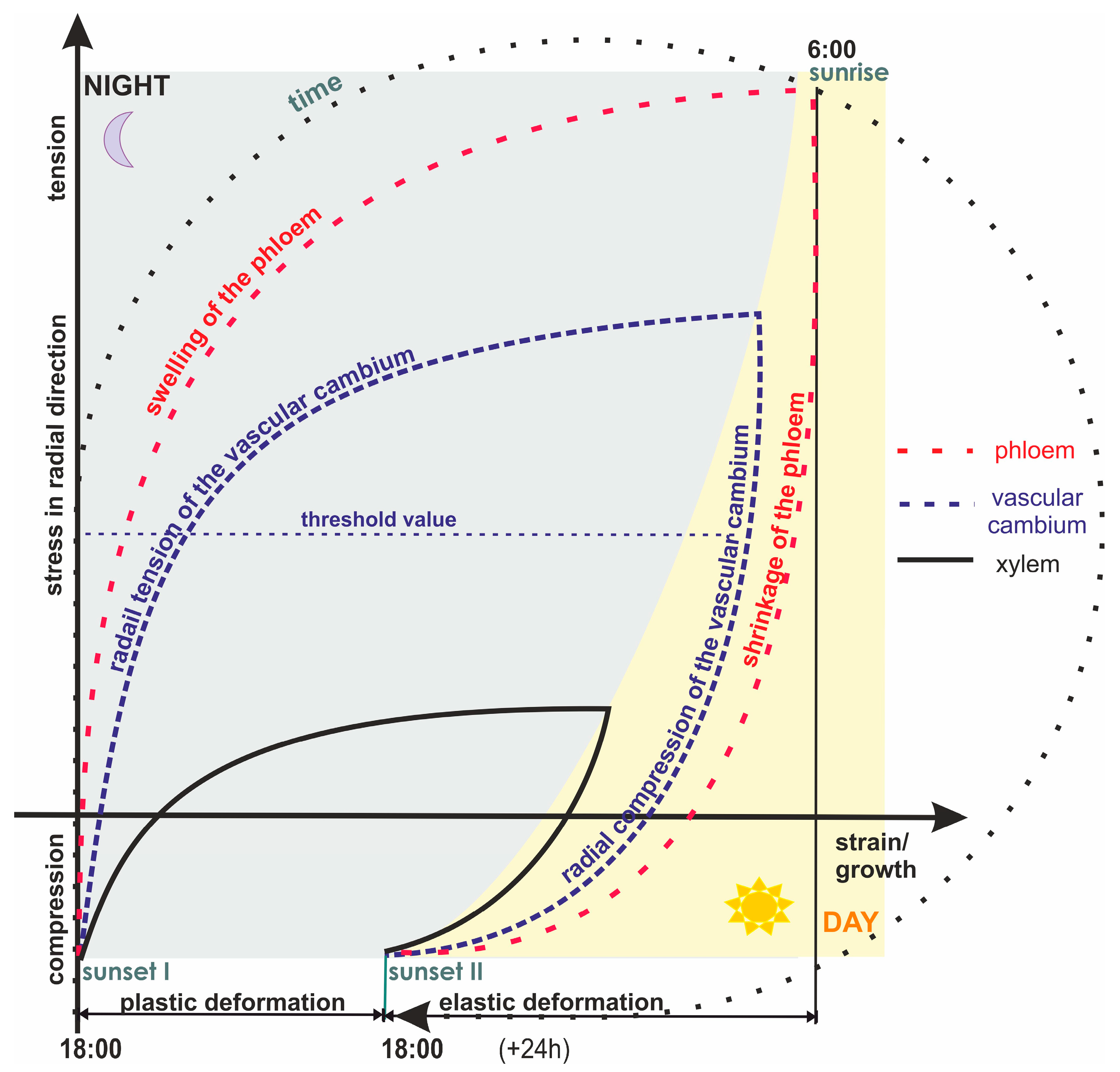 Forests 14 00823 g007 Forests 14 00823 g007