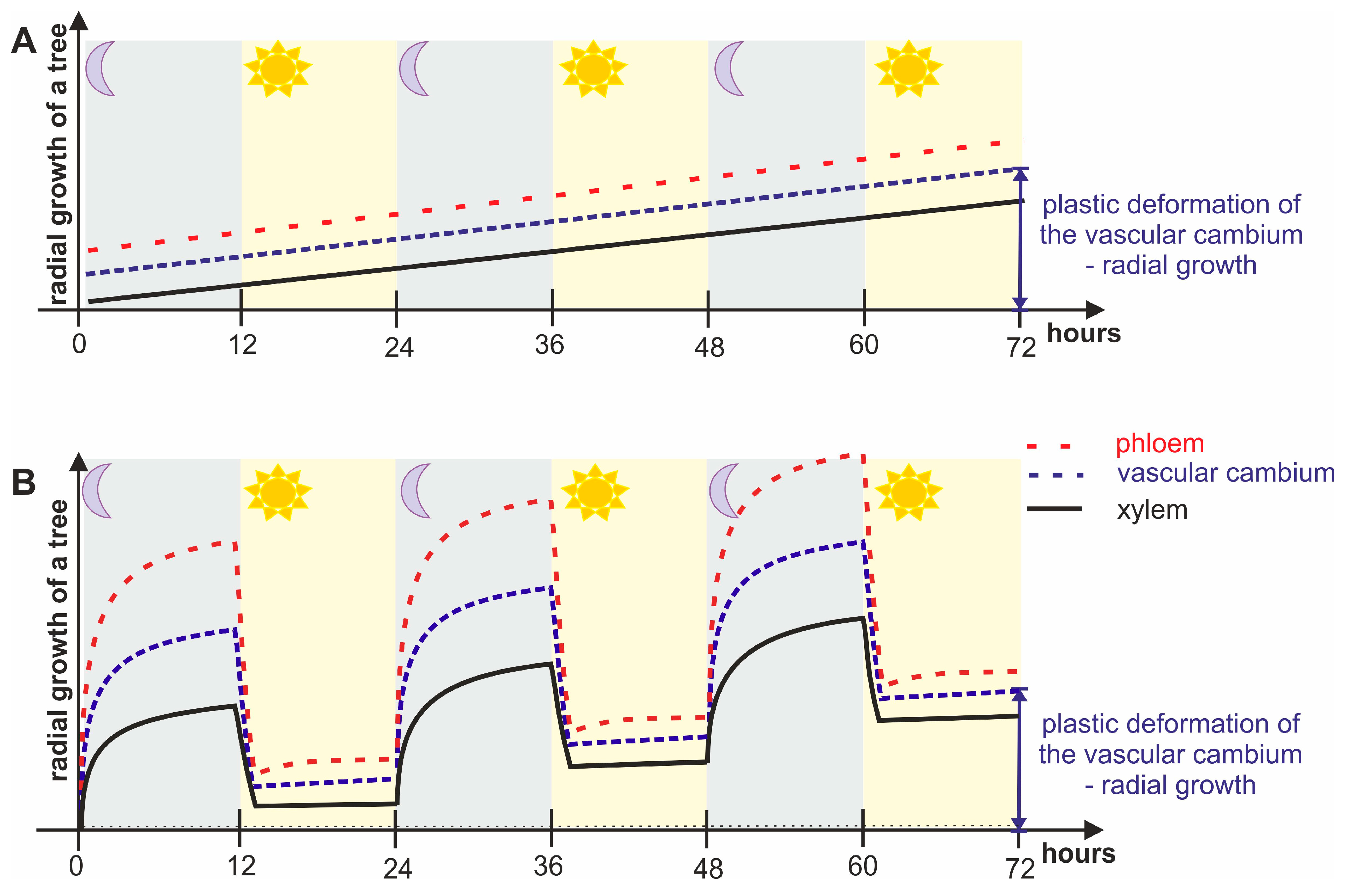 Forests 14 00823 g009 Forests 14 00823 g009