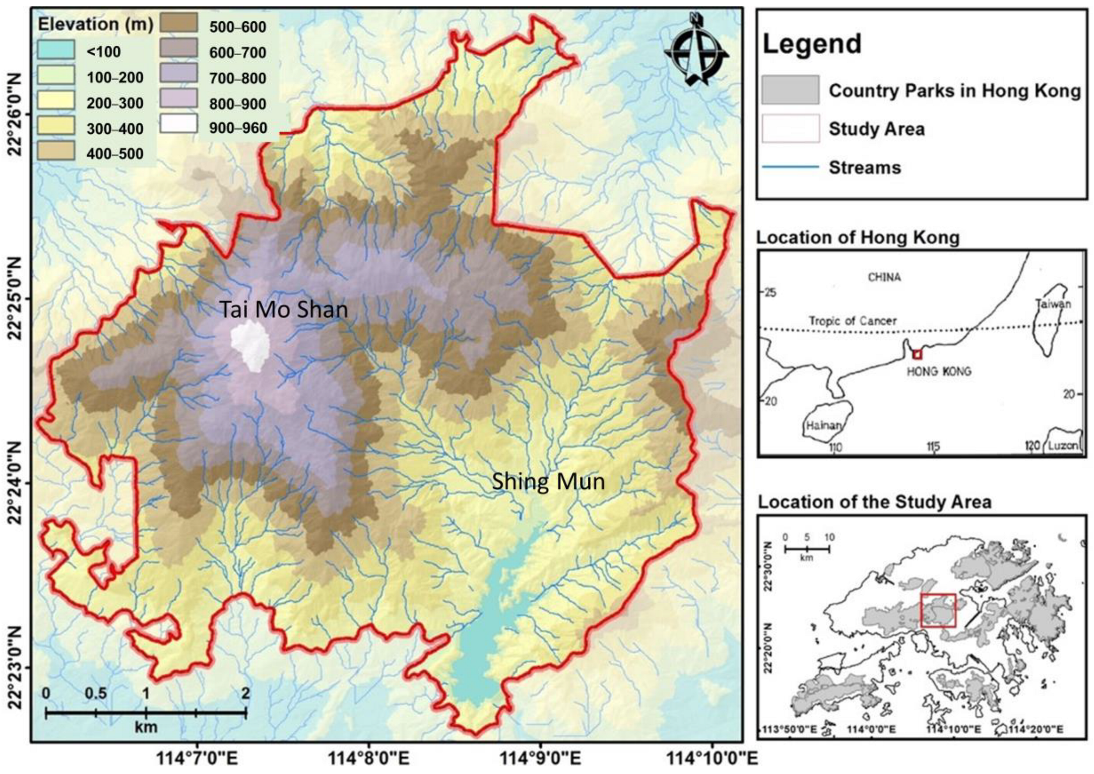 On the vertebrate secondary production of forests