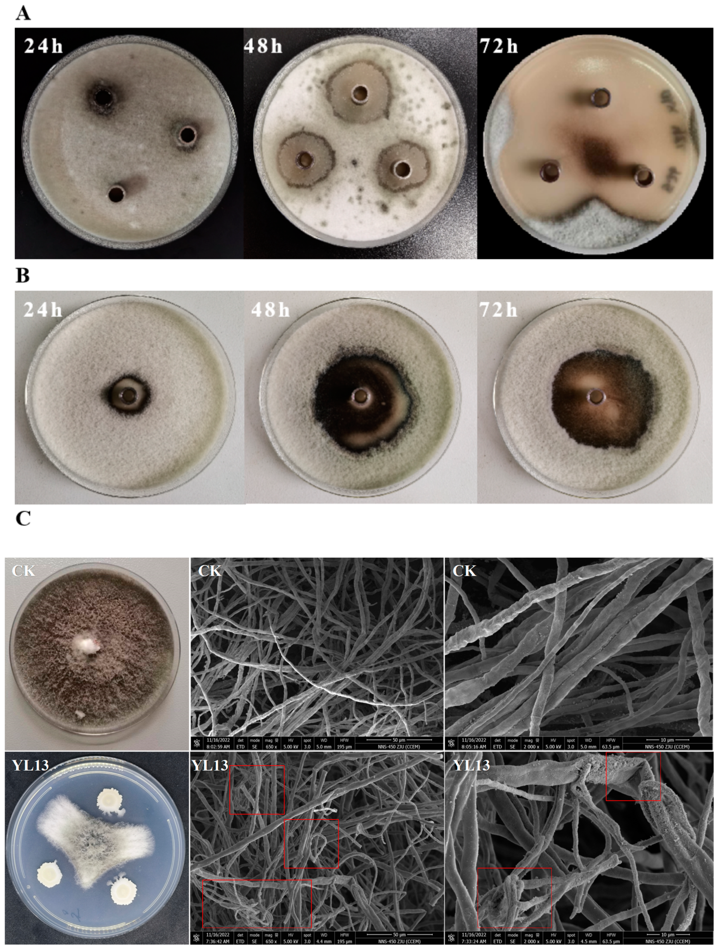 Forests 14 00886 g001 Forests 14 00886 g001