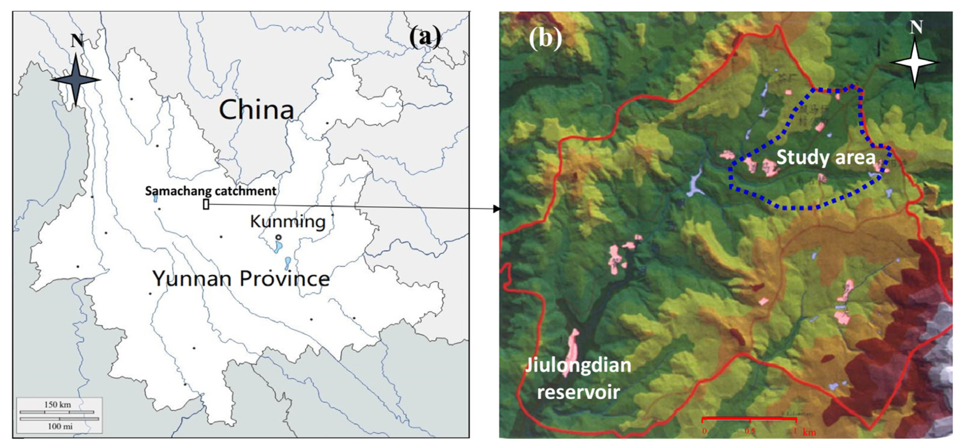 Forests 14 00888 g001 Forests 14 00888 g001