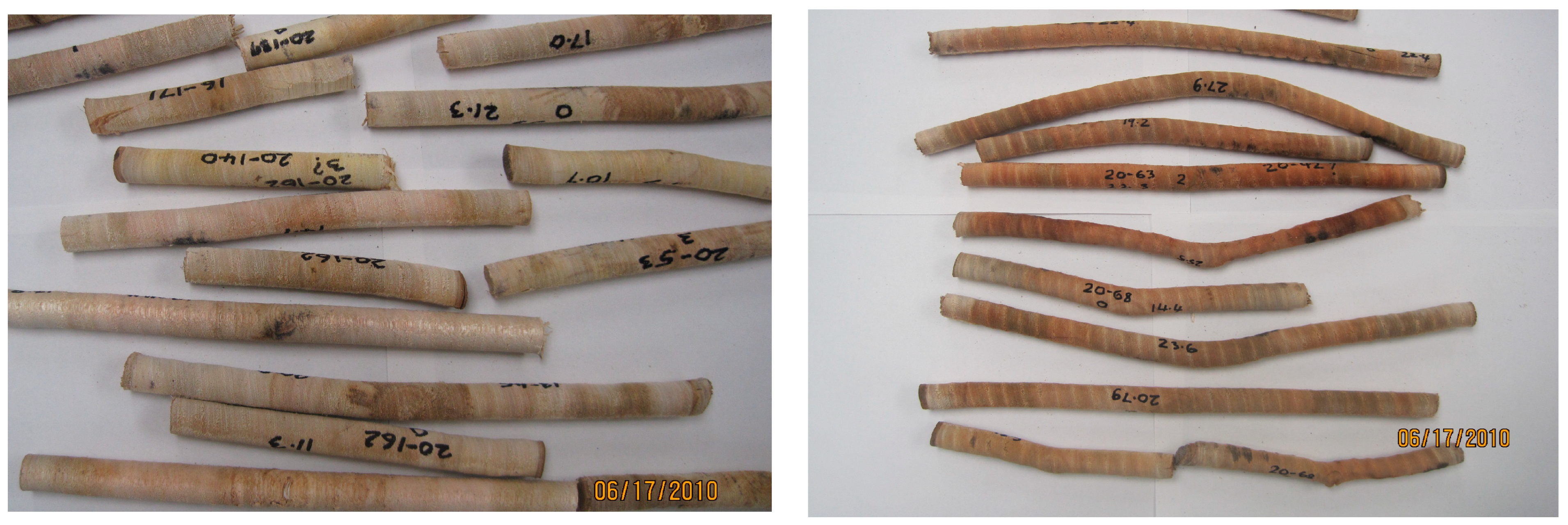 Forests 14 00899 g002