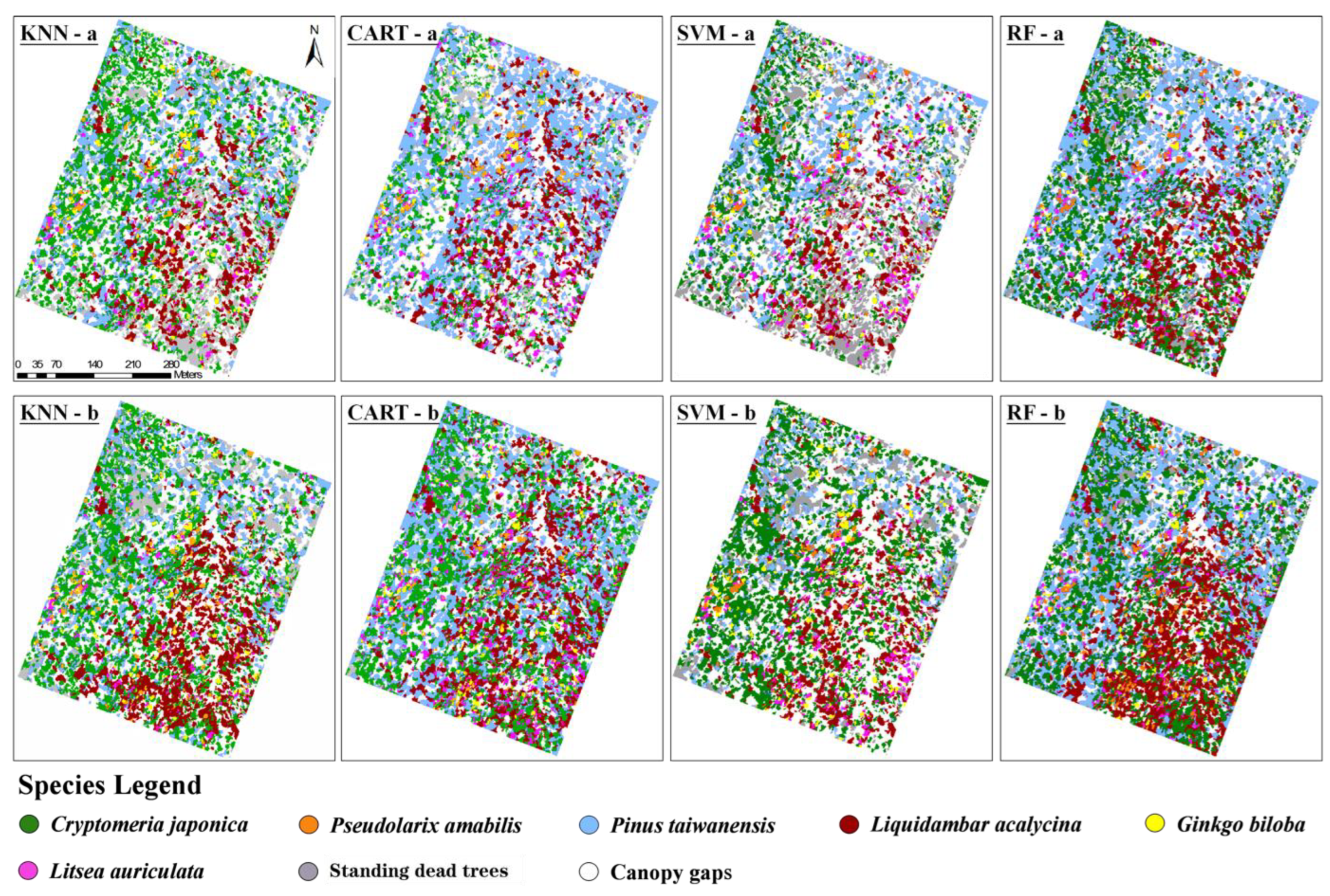 Forests 14 00908 g005