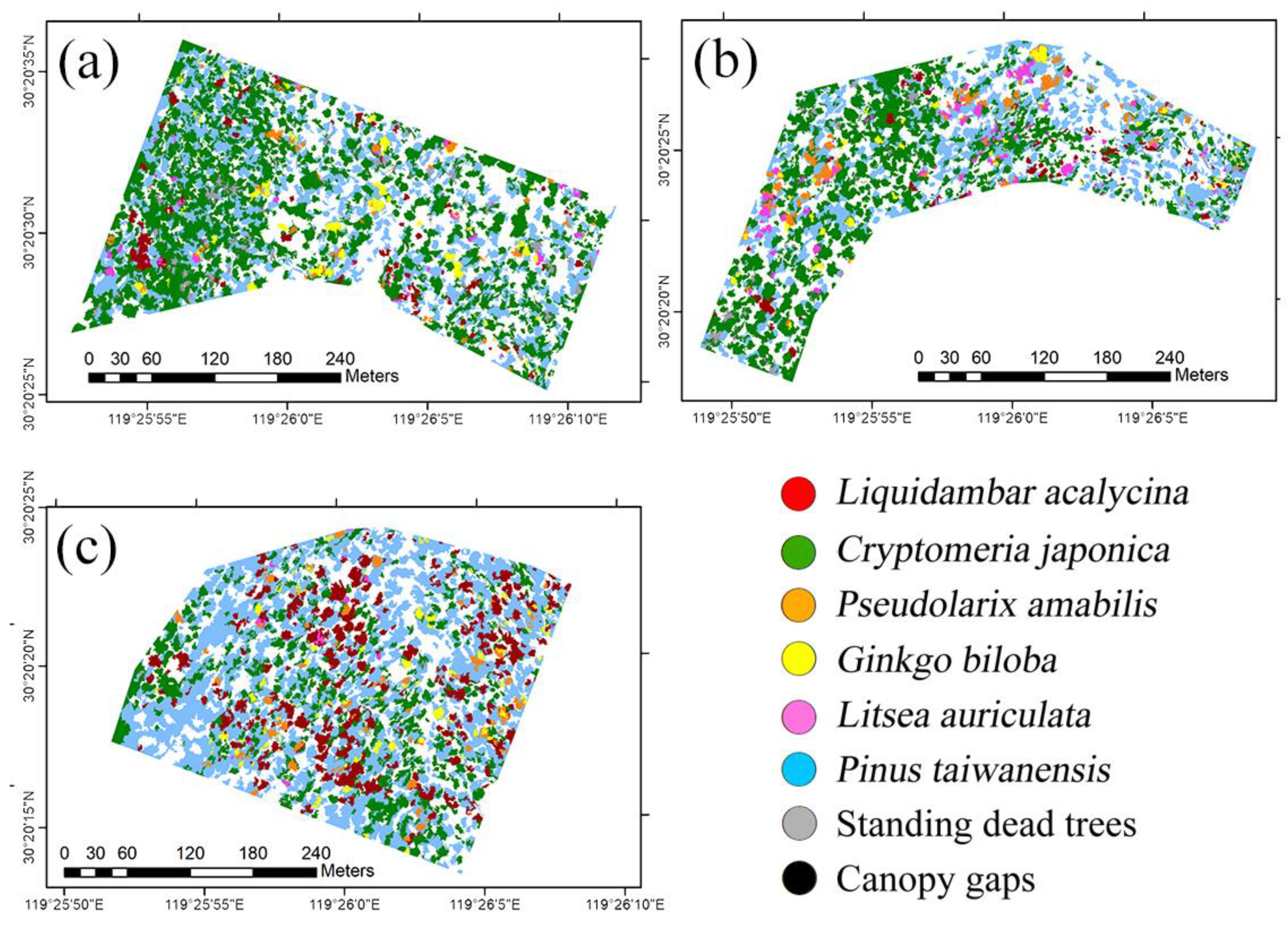Forests 14 00908 g007