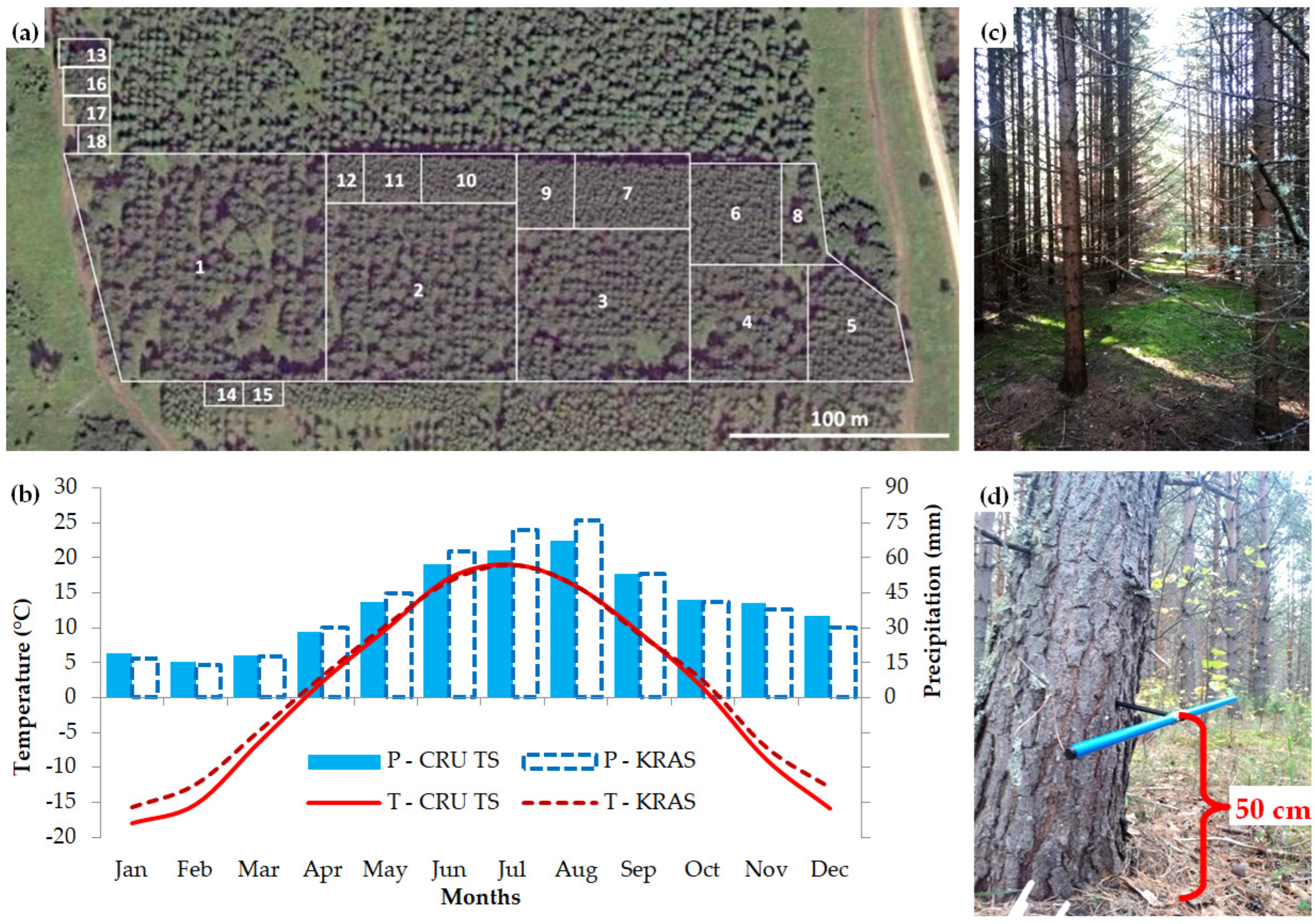 Tree-ring width (a), annual mean vessel area (b), annual mean KH (c)