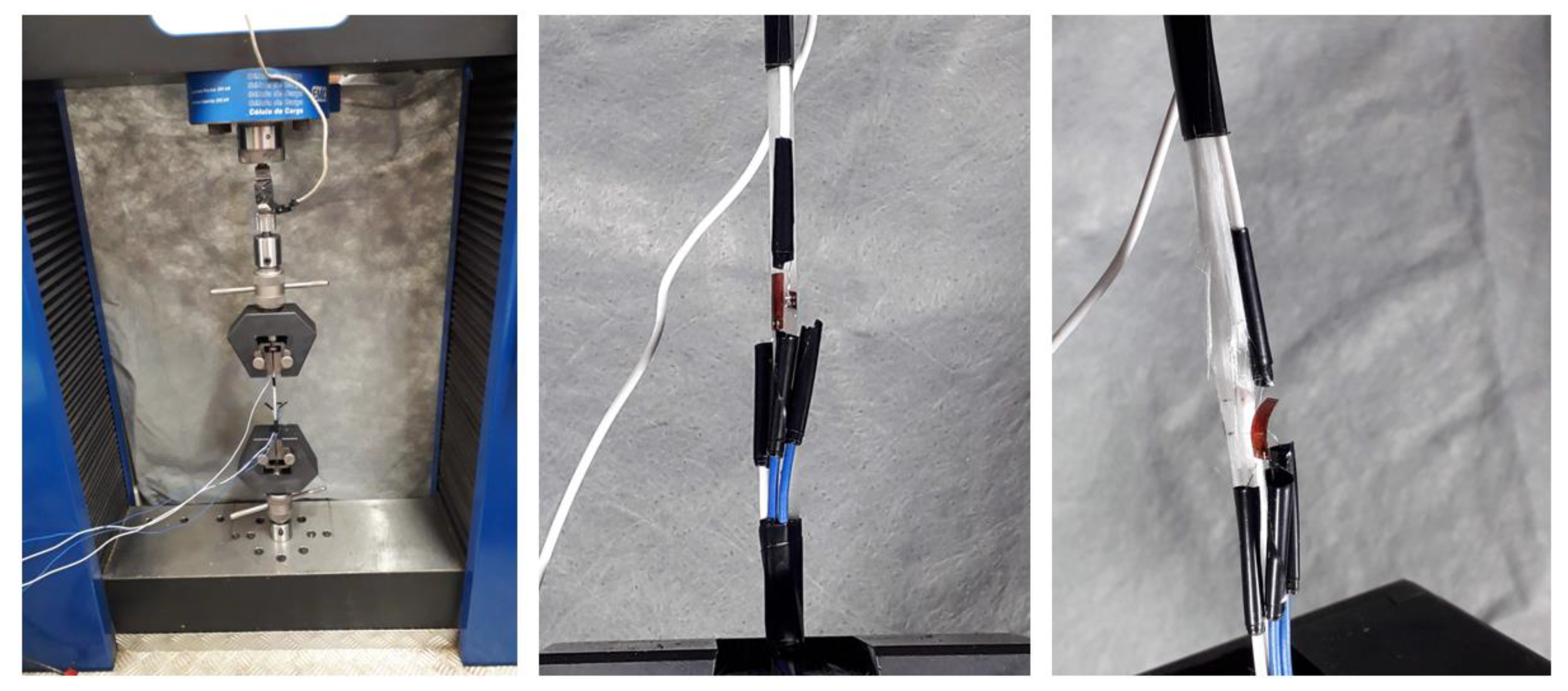 Forests 14 00931 g003