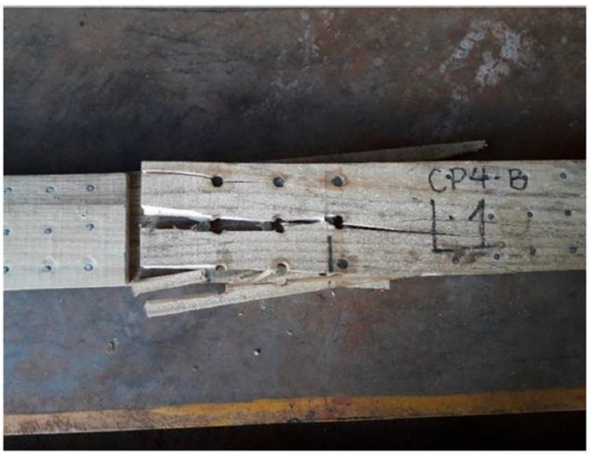 Forests 14 00931 g010