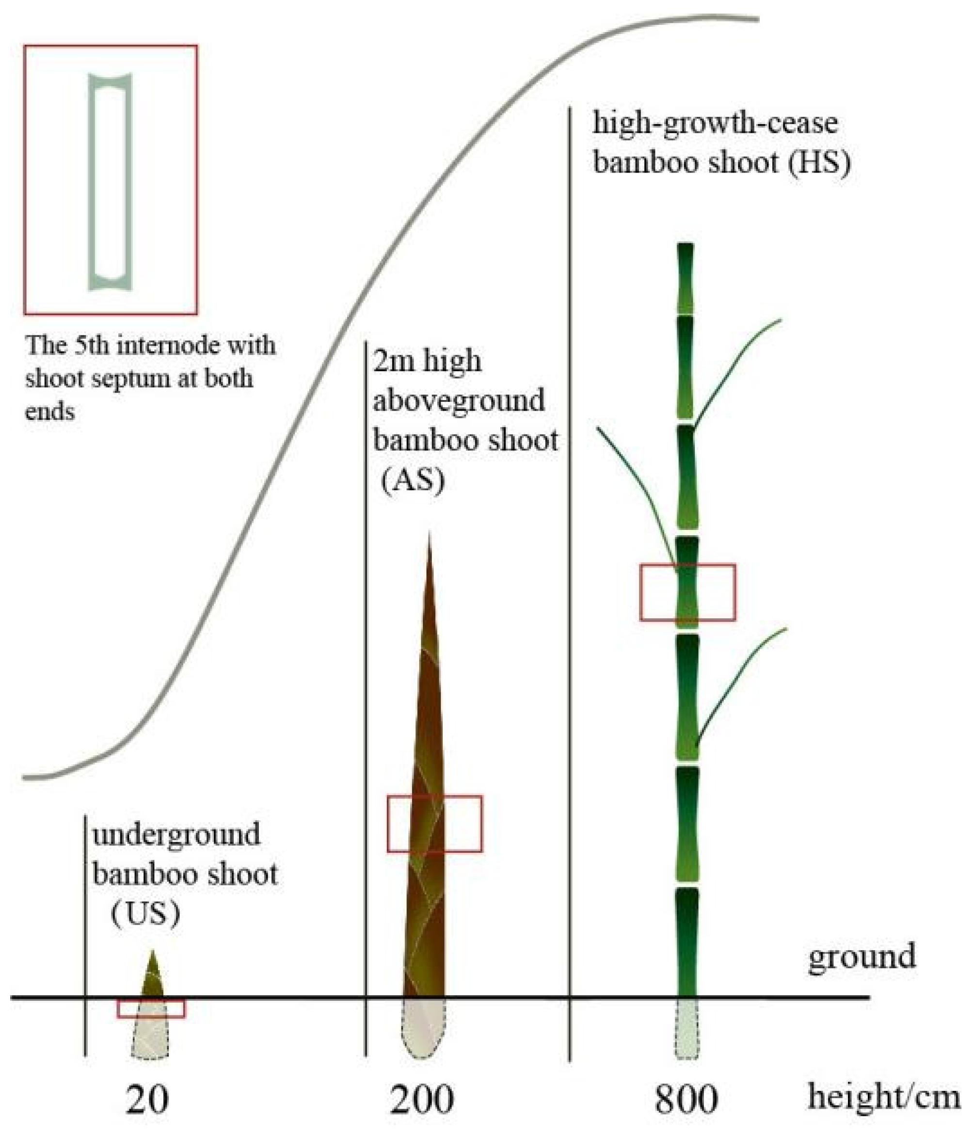 Forests 14 00944 g001 Forests 14 00944 g001