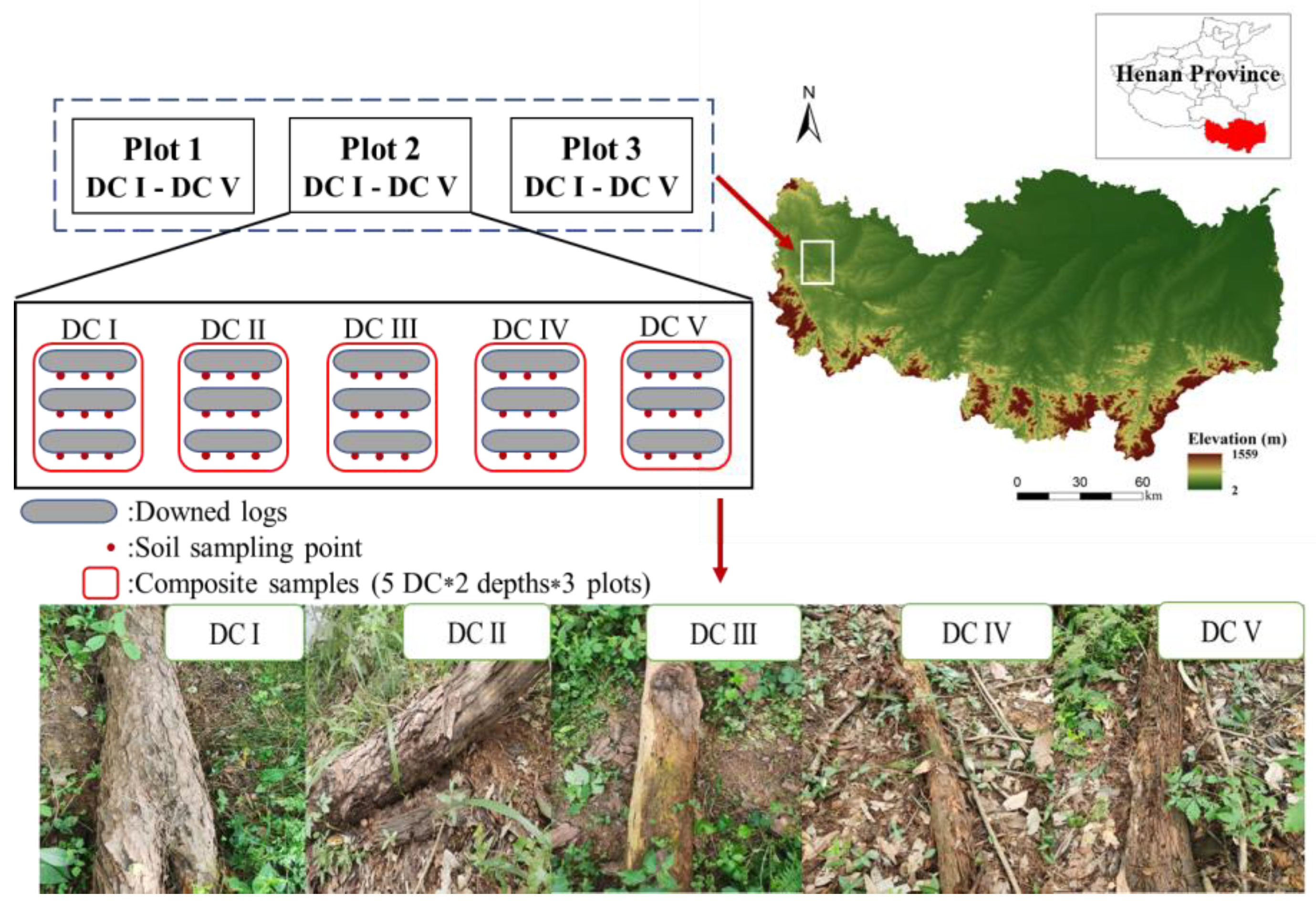 Forests 14 00955 g001
