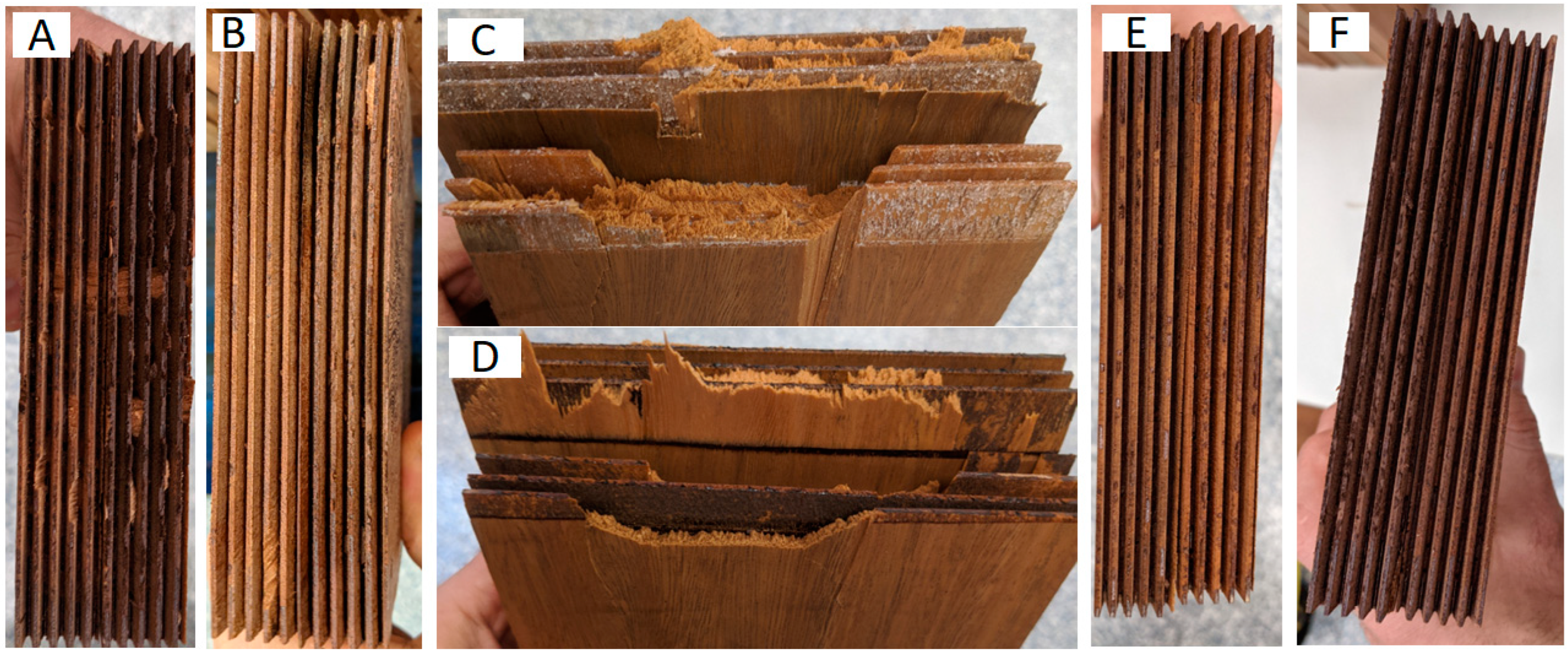 Forests 14 00956 g008