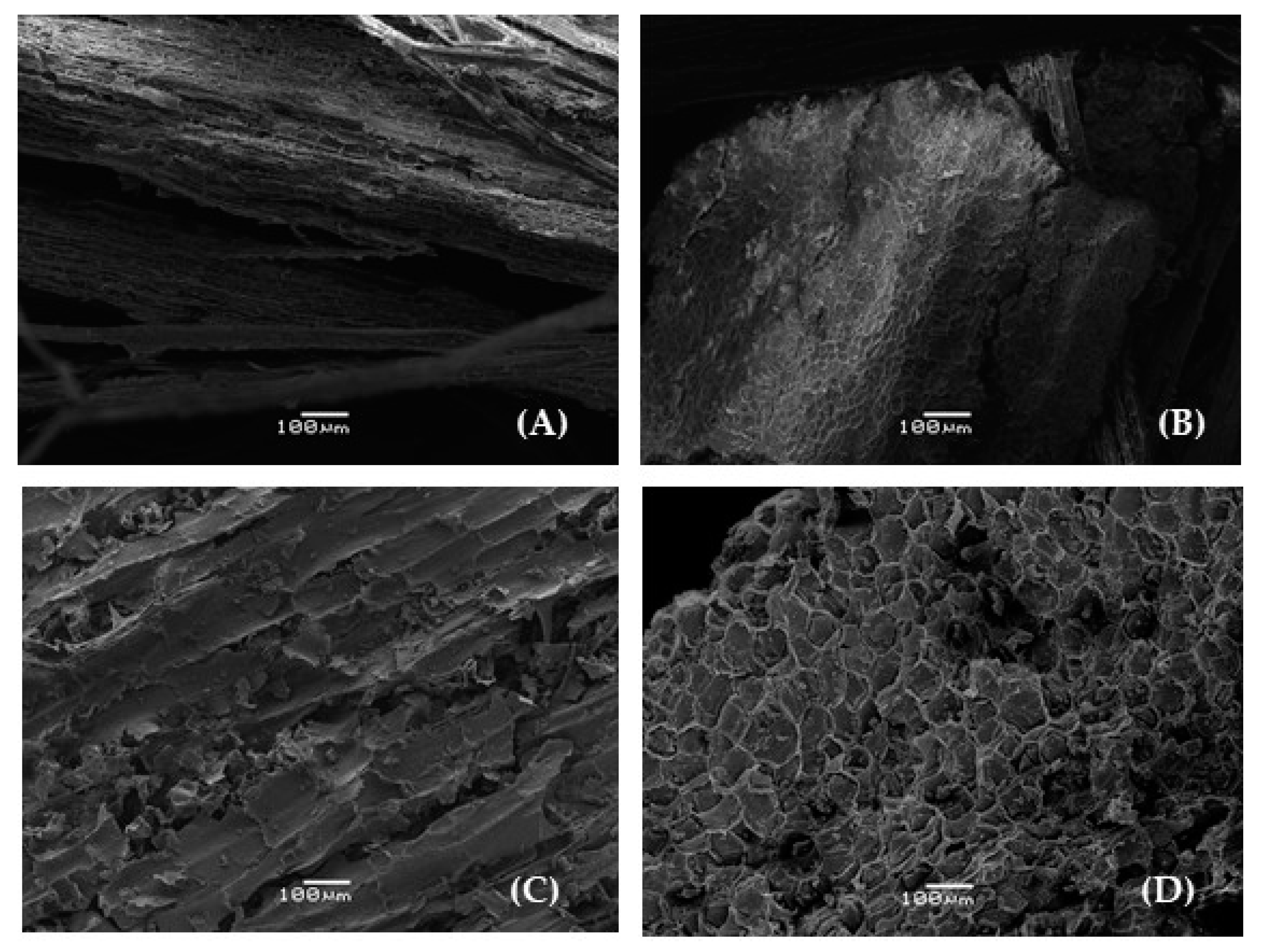 Forests 14 00991 g002 Forests 14 00991 g002