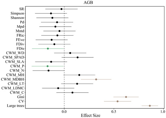 Forests | Free Full-Text | Effects of Tree Diversity, Functional 