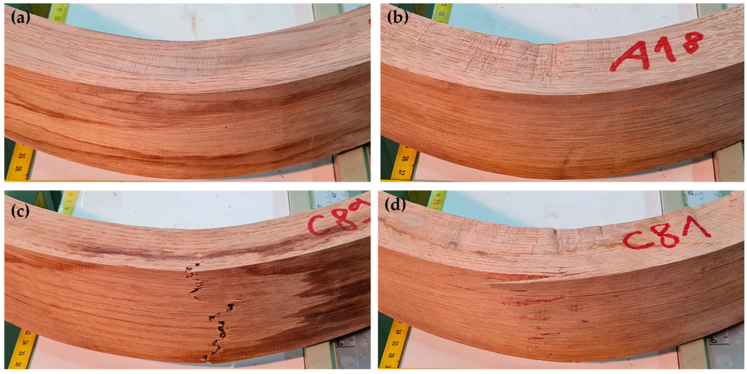 Forests 14 01047 g008