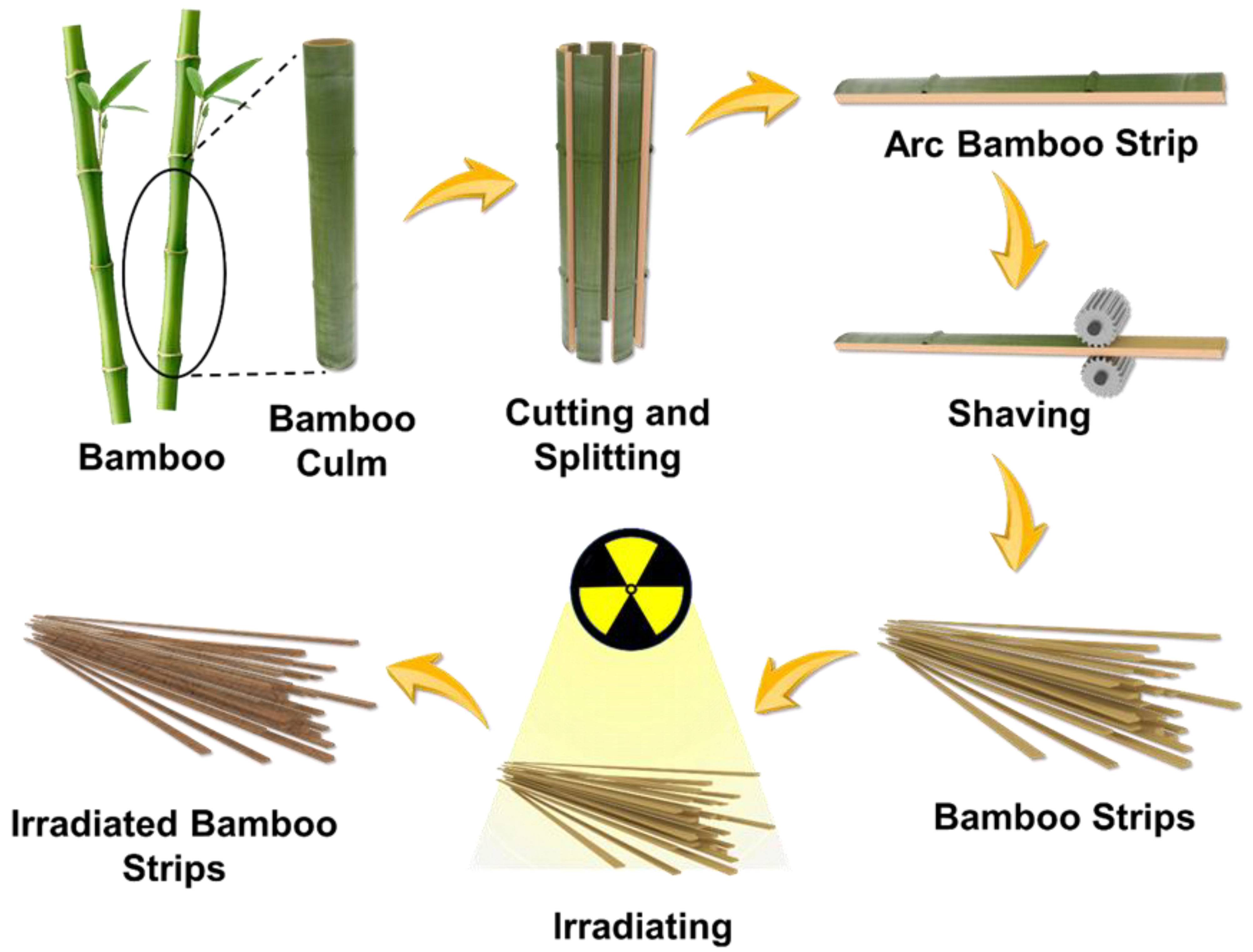 Forests 14 01055 g001