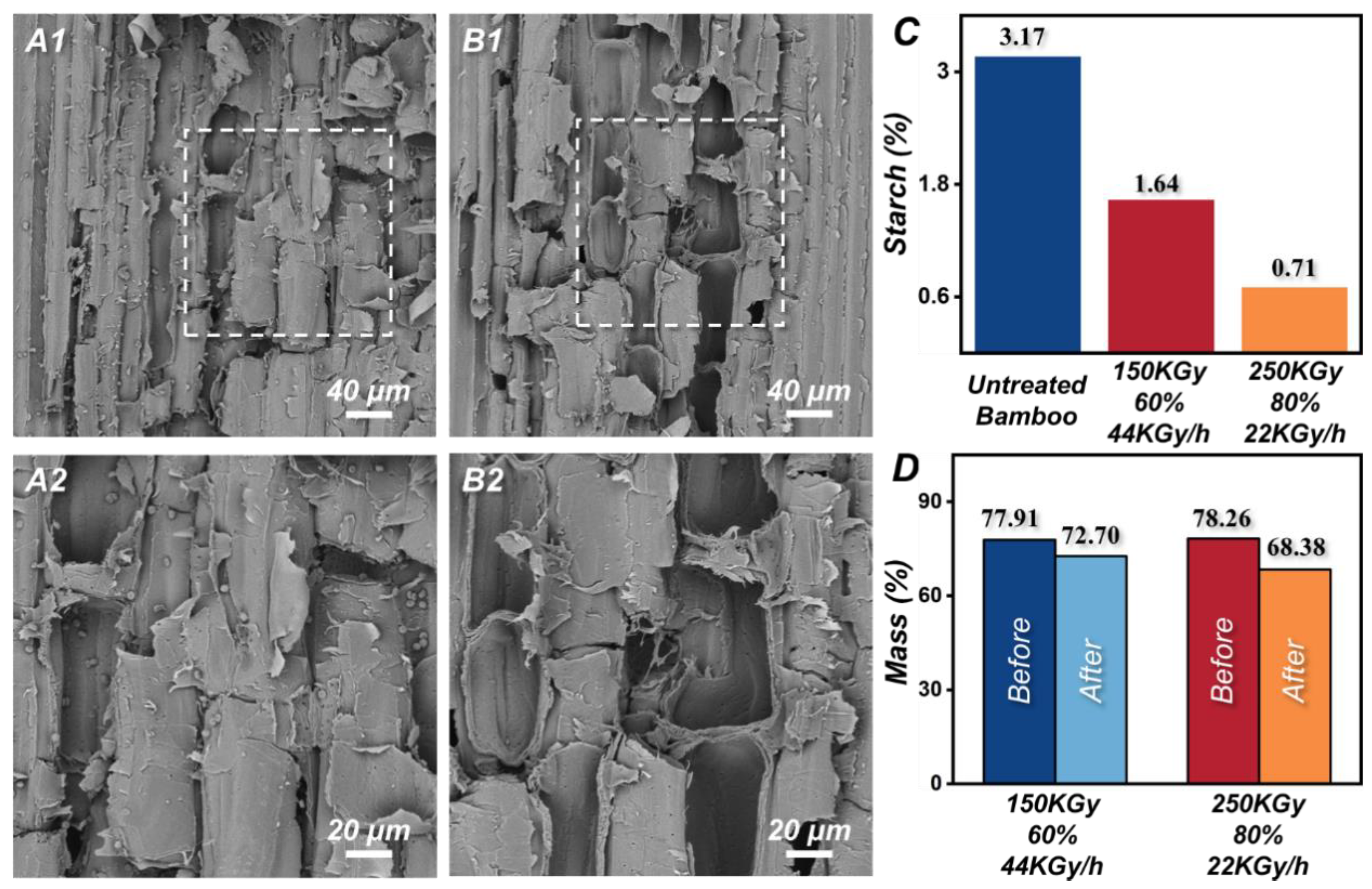 Forests 14 01055 g004