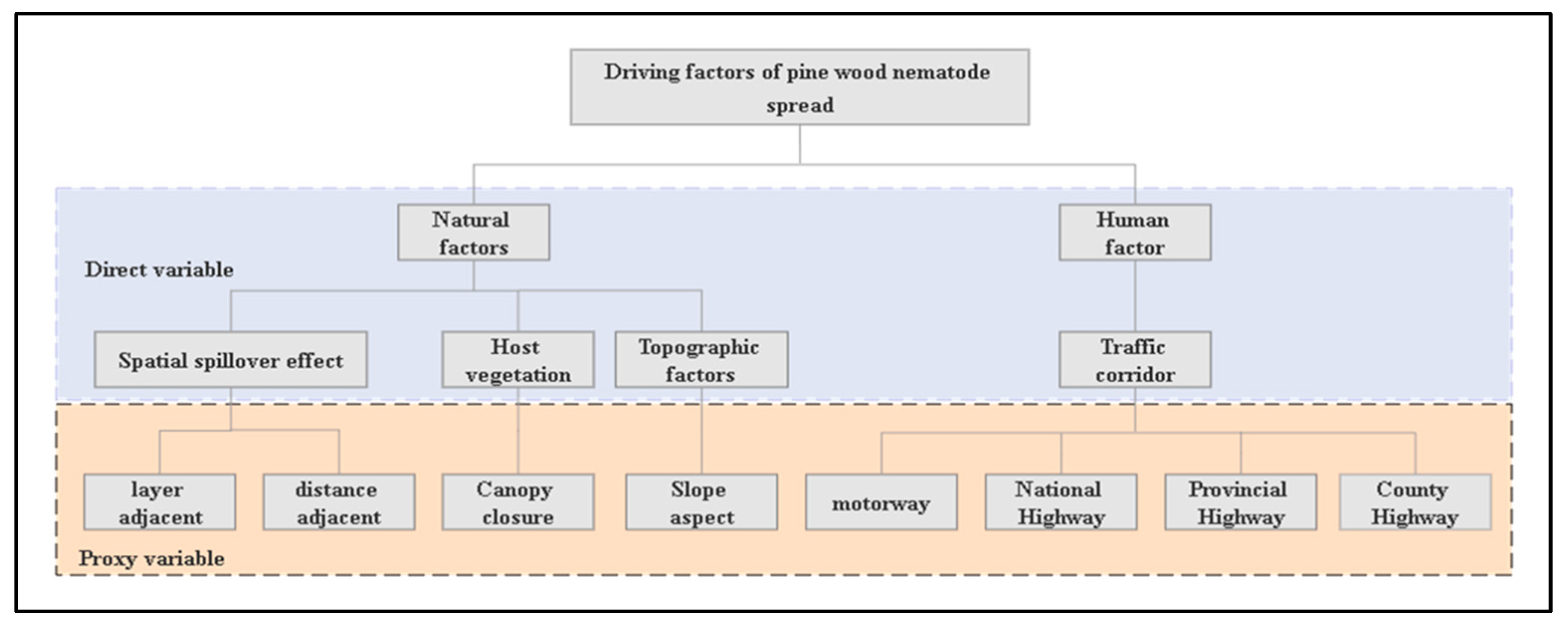 Forests 14 01059 g002 Forests 14 01059 g002