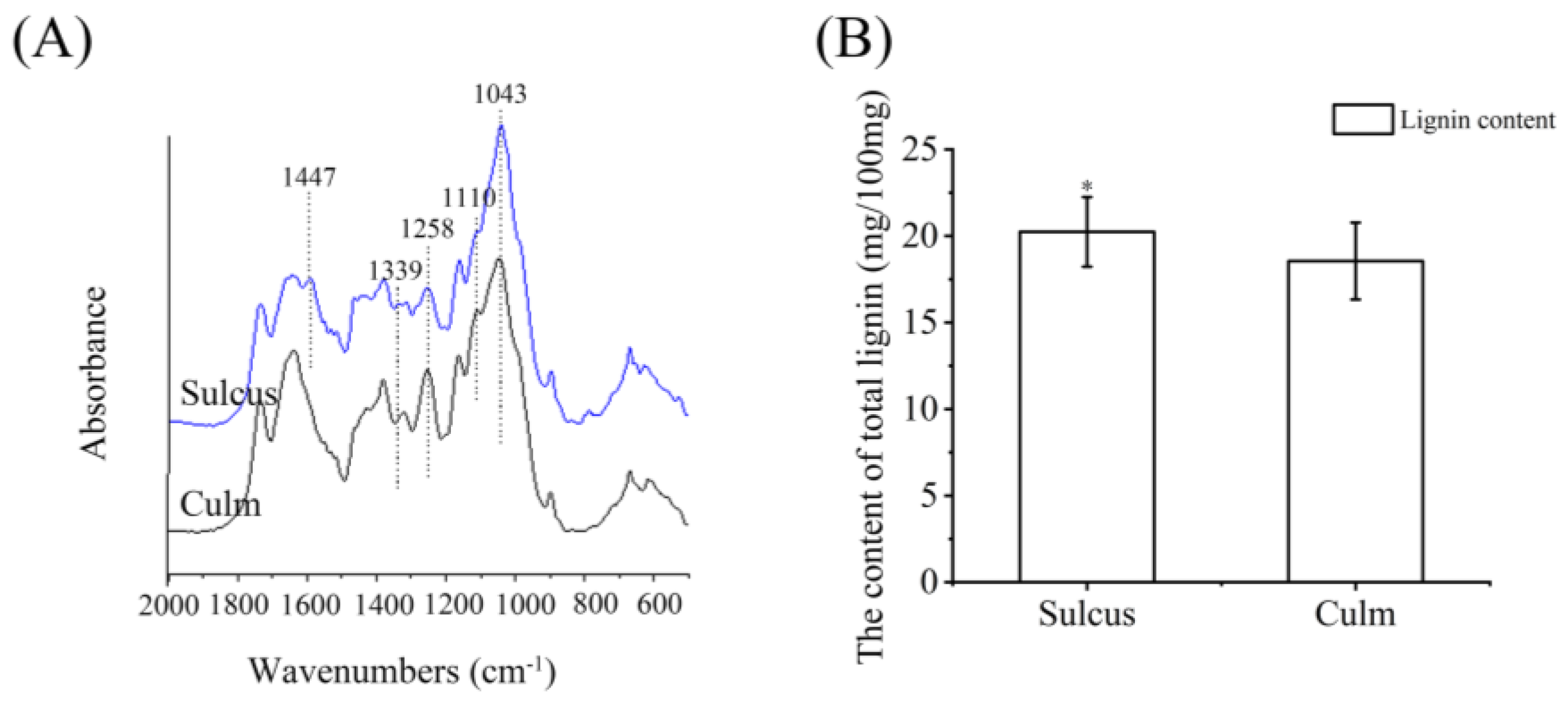 Forests 14 01073 g004