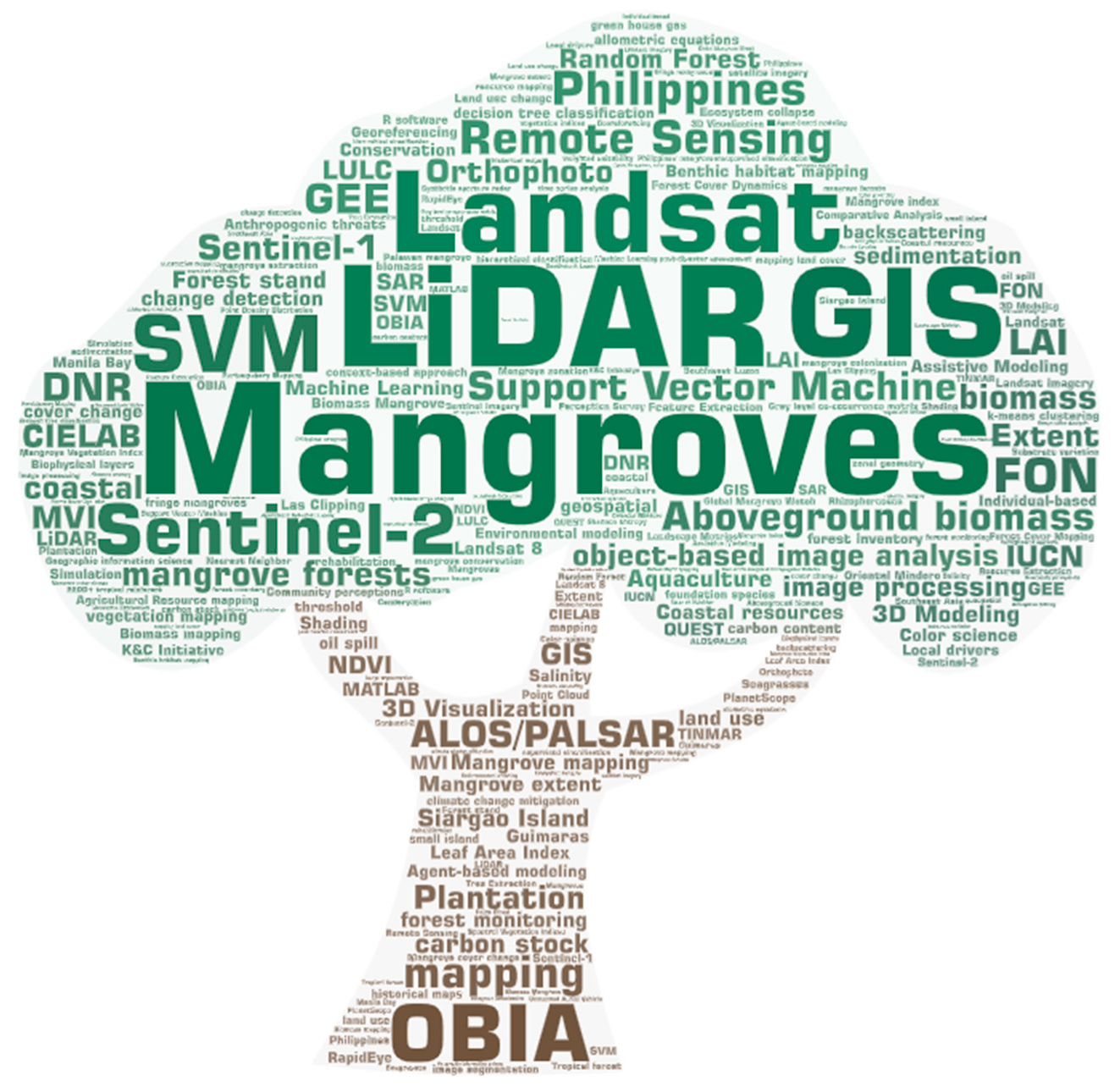 Forests 14 01080 g001 Forests 14 01080 g001