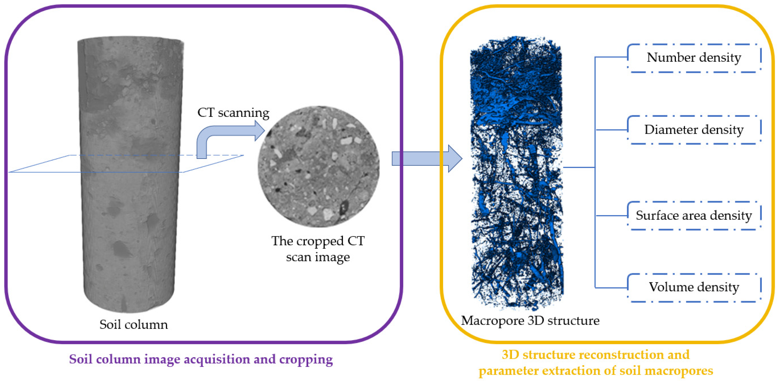 Forests 14 01097 g004