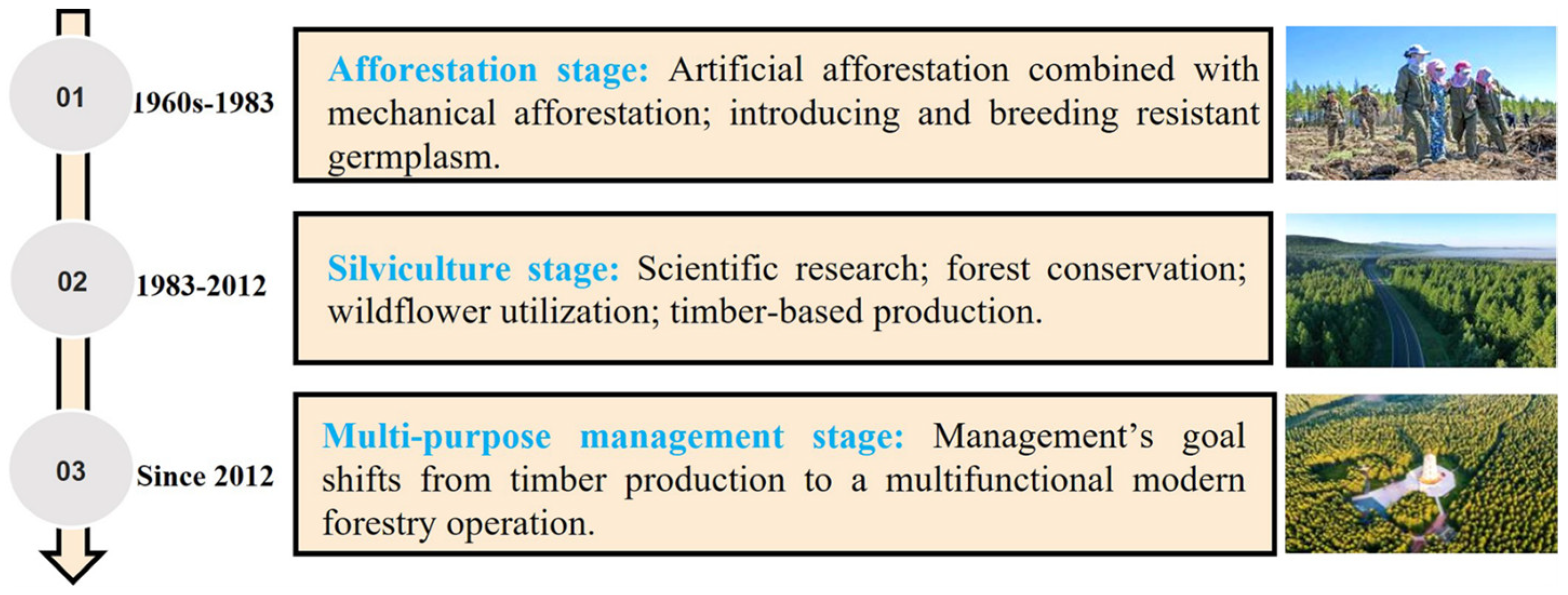 Forests 14 01100 g002