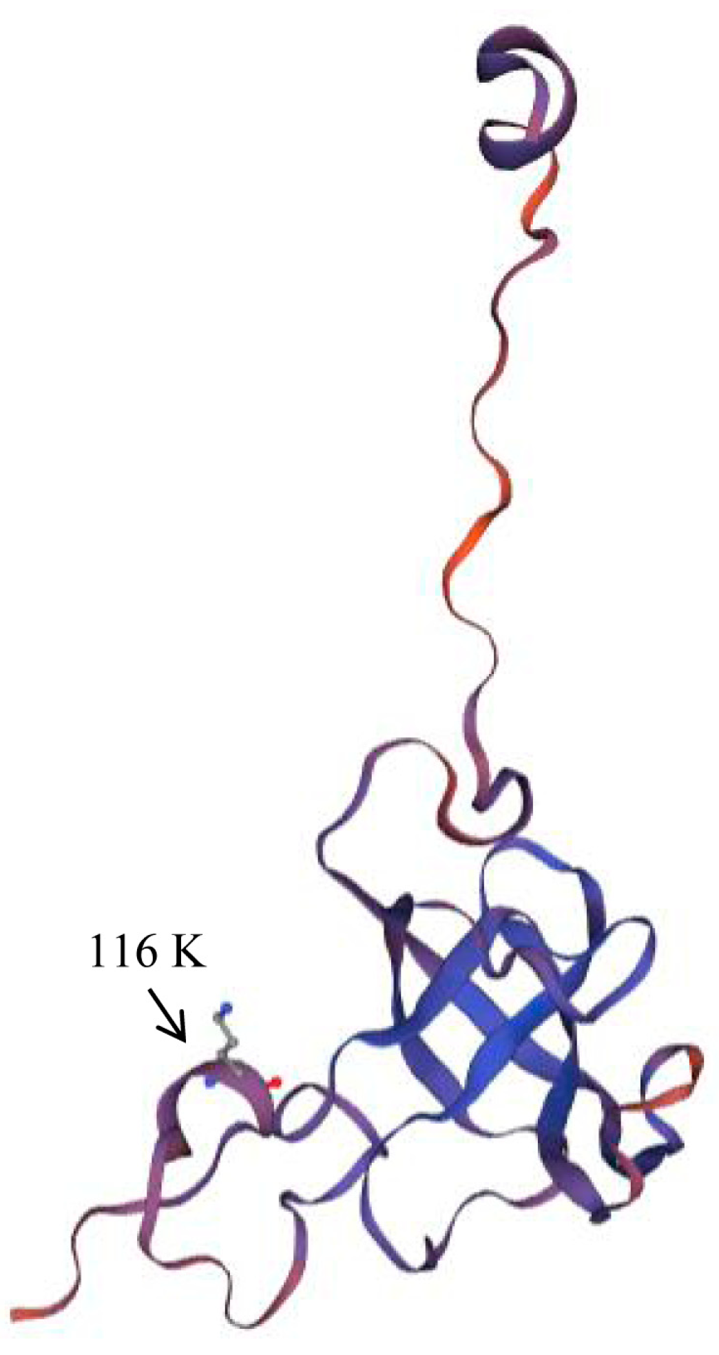 Forests 14 01101 g008 Forests 14 01101 g008