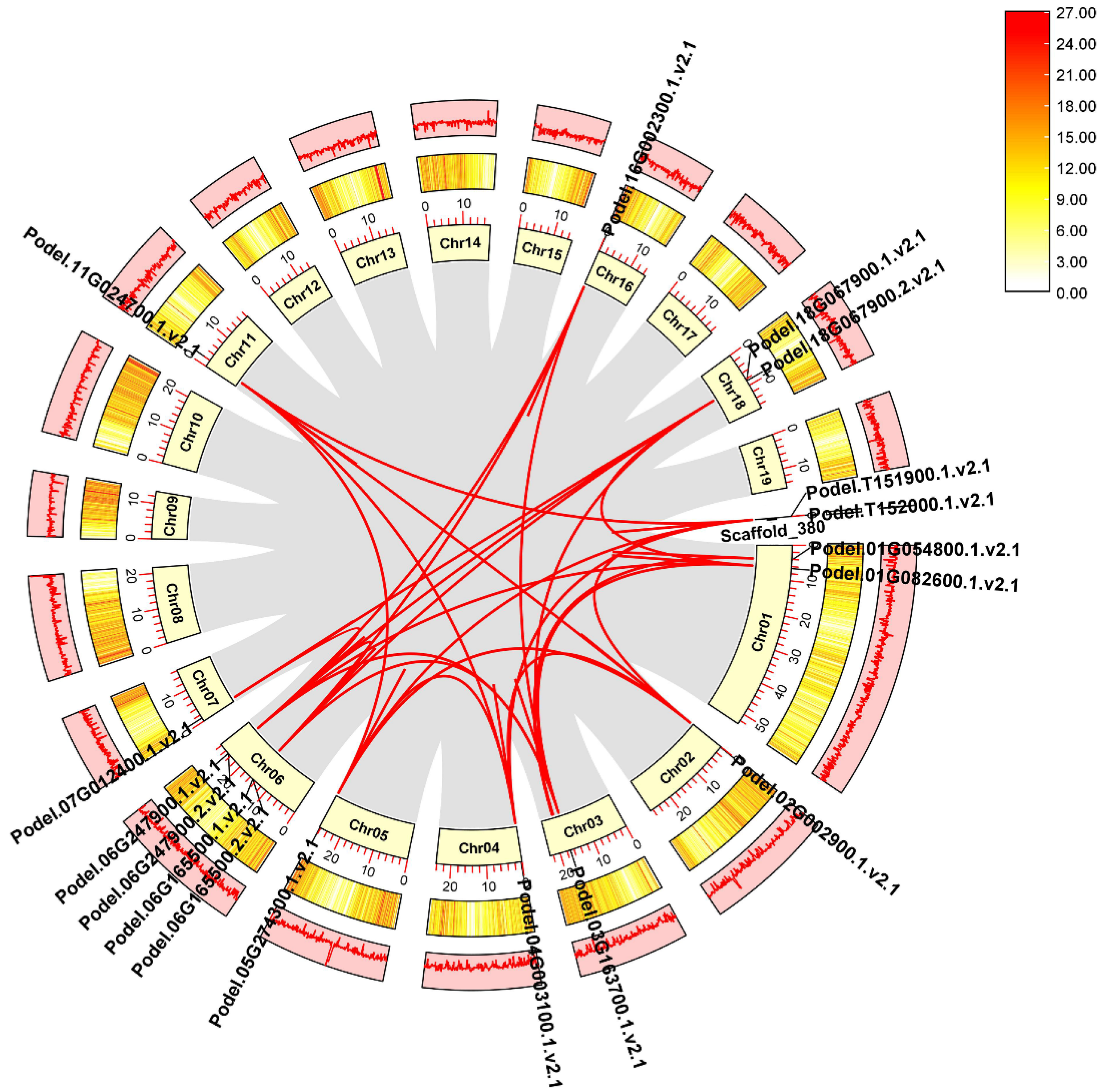 Forests 14 01104 g003