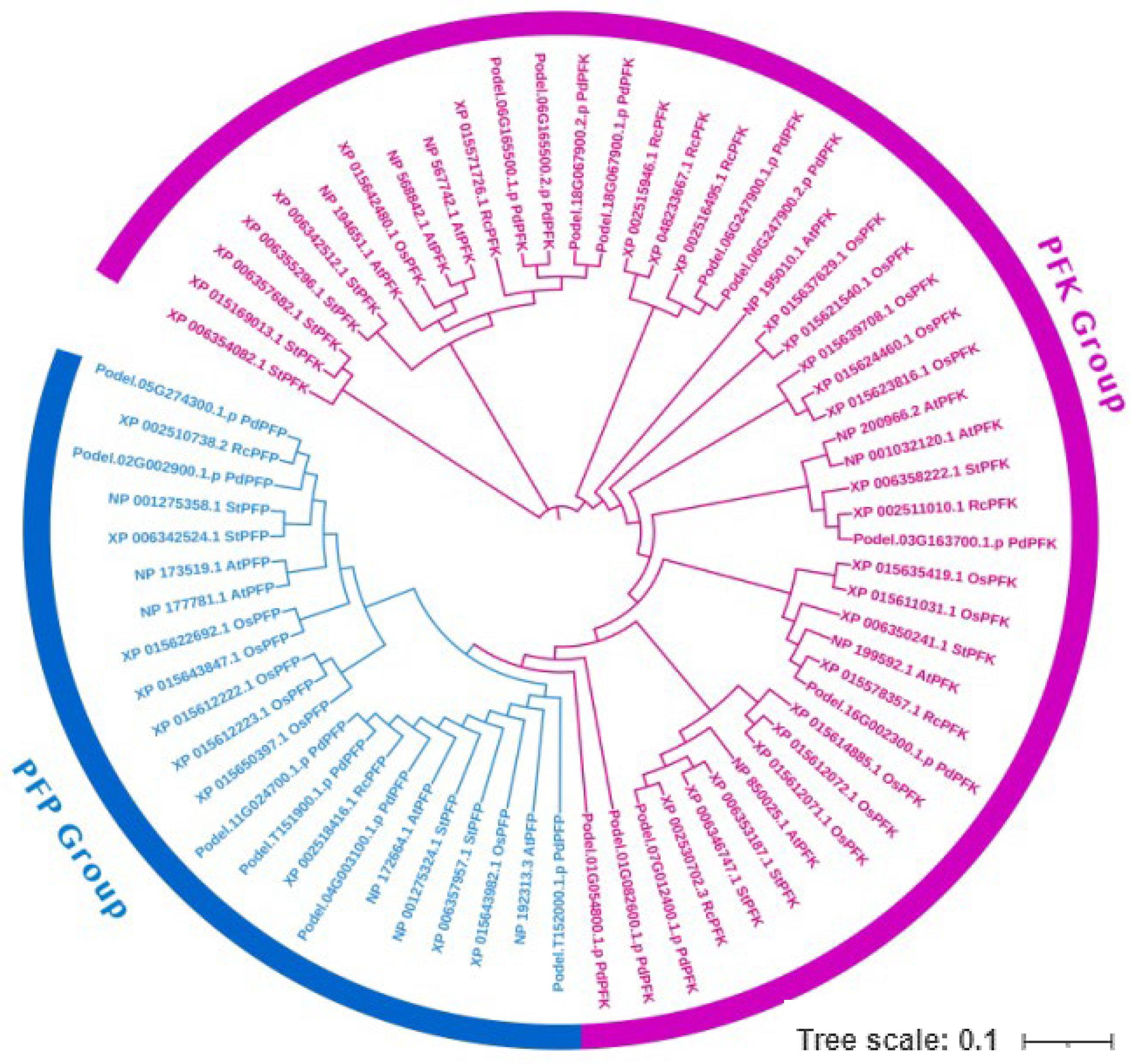 Forests 14 01104 g006