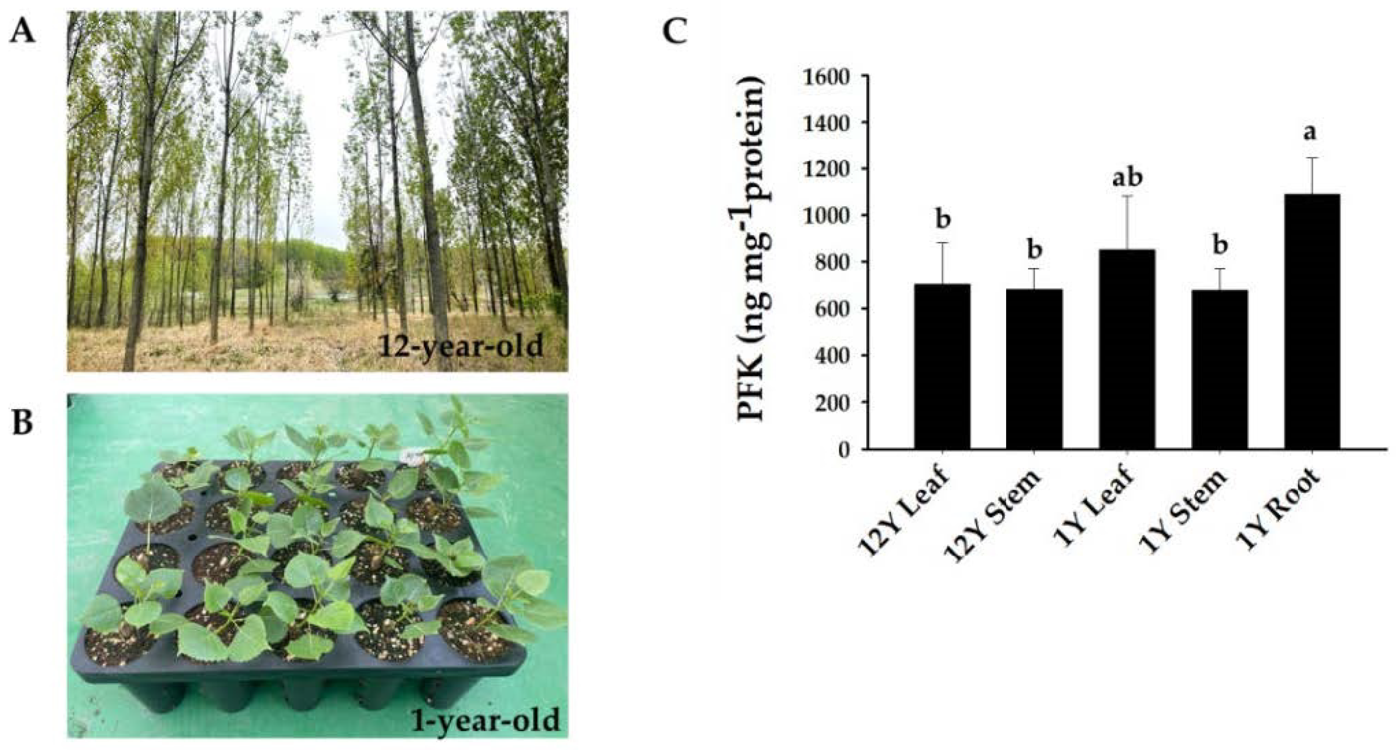 Forests 14 01104 g007