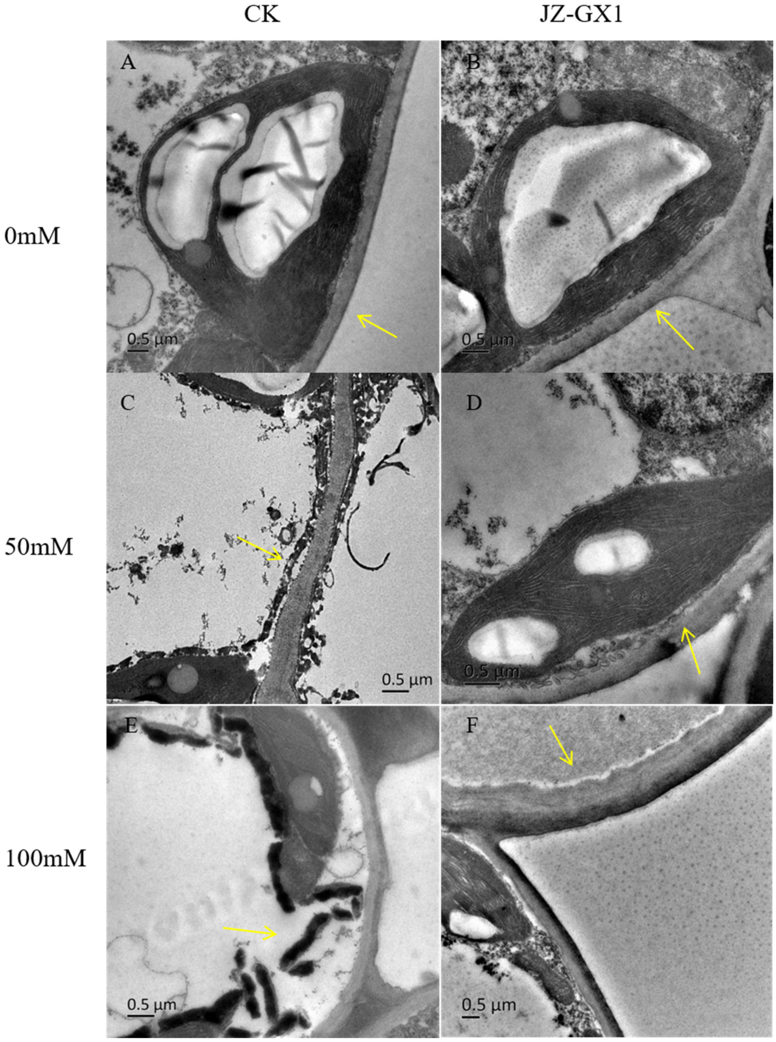 Forests 14 01110 g003