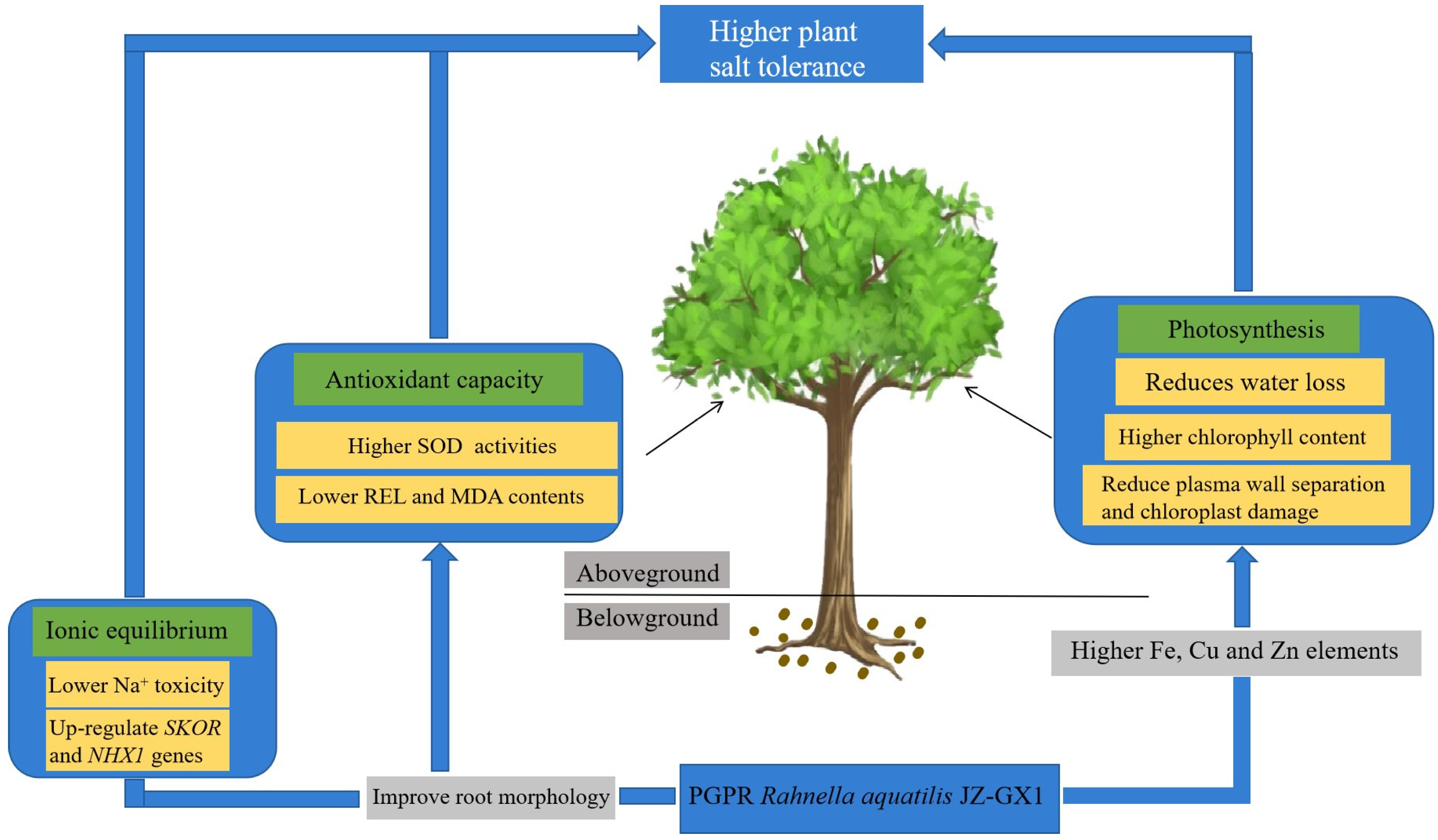 Forests 14 01110 g010