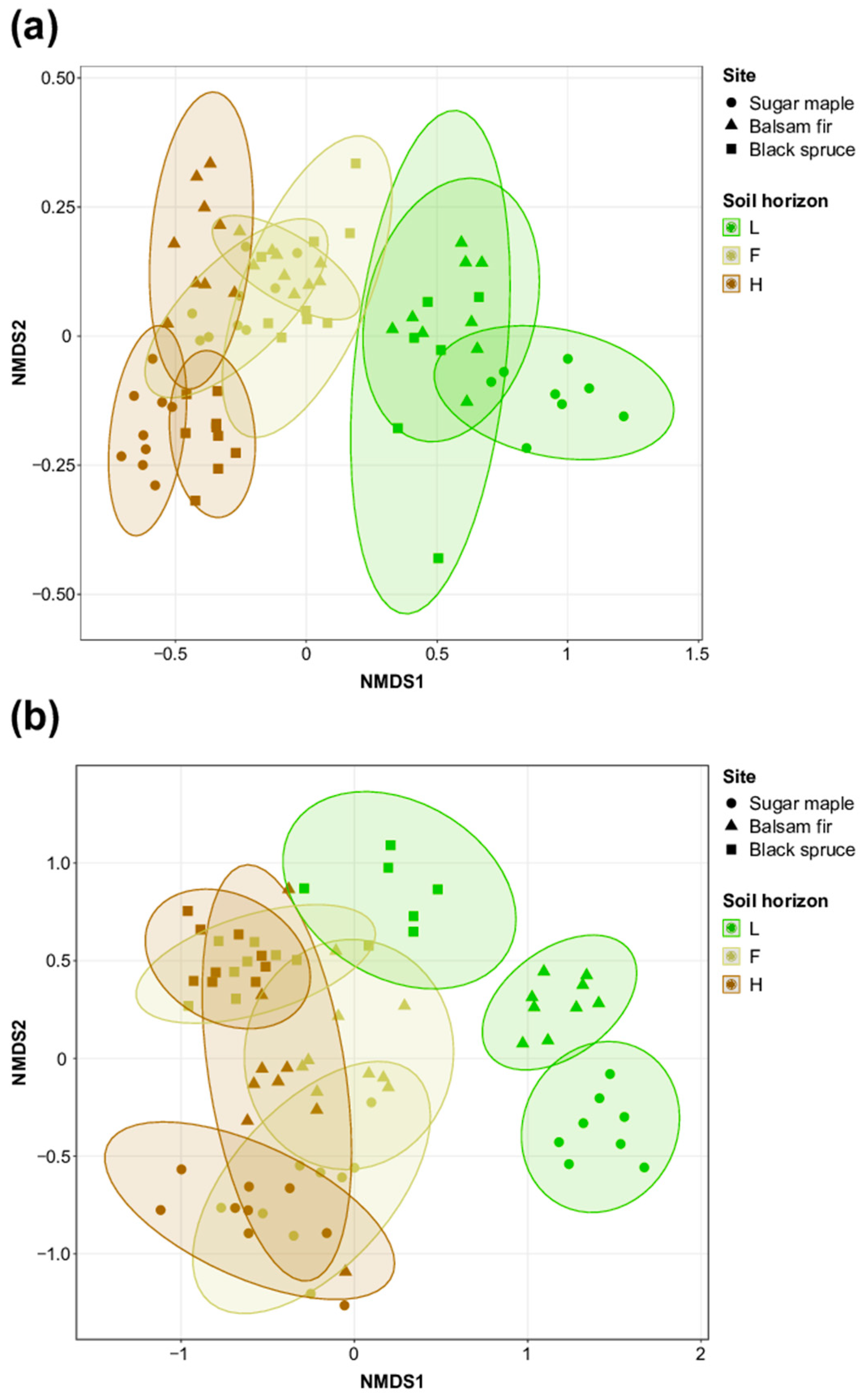 Forests 14 01124 g002 Forests 14 01124 g002