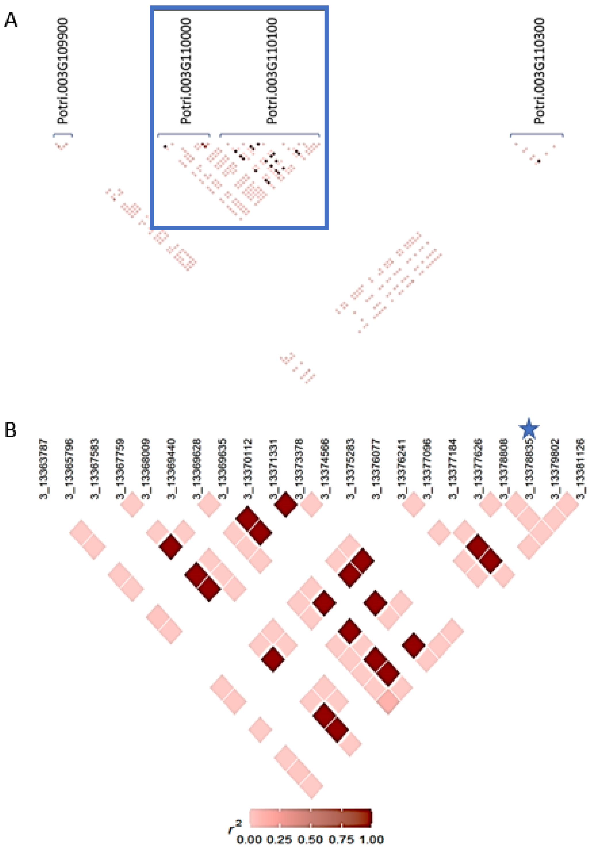 Forests 14 01129 g002 Forests 14 01129 g002