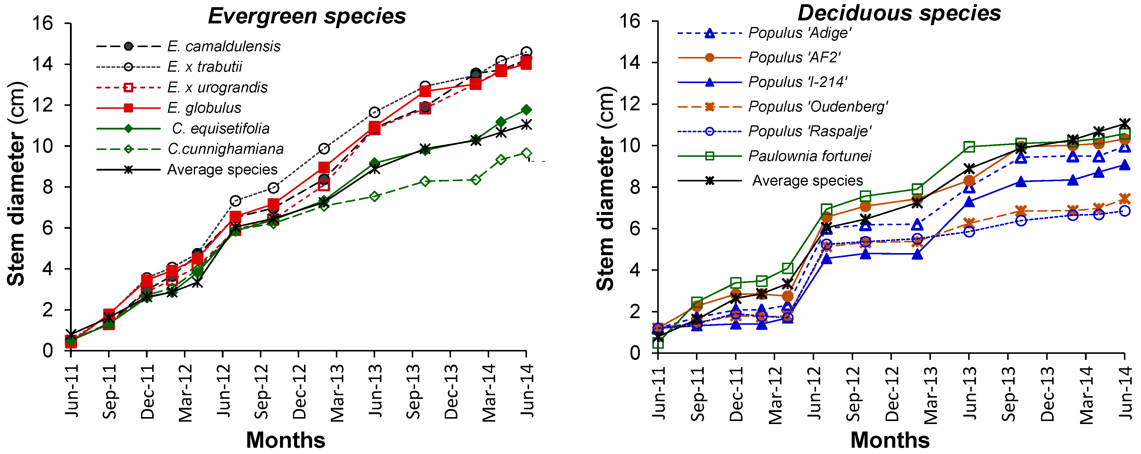 Forests 14 01156 g002