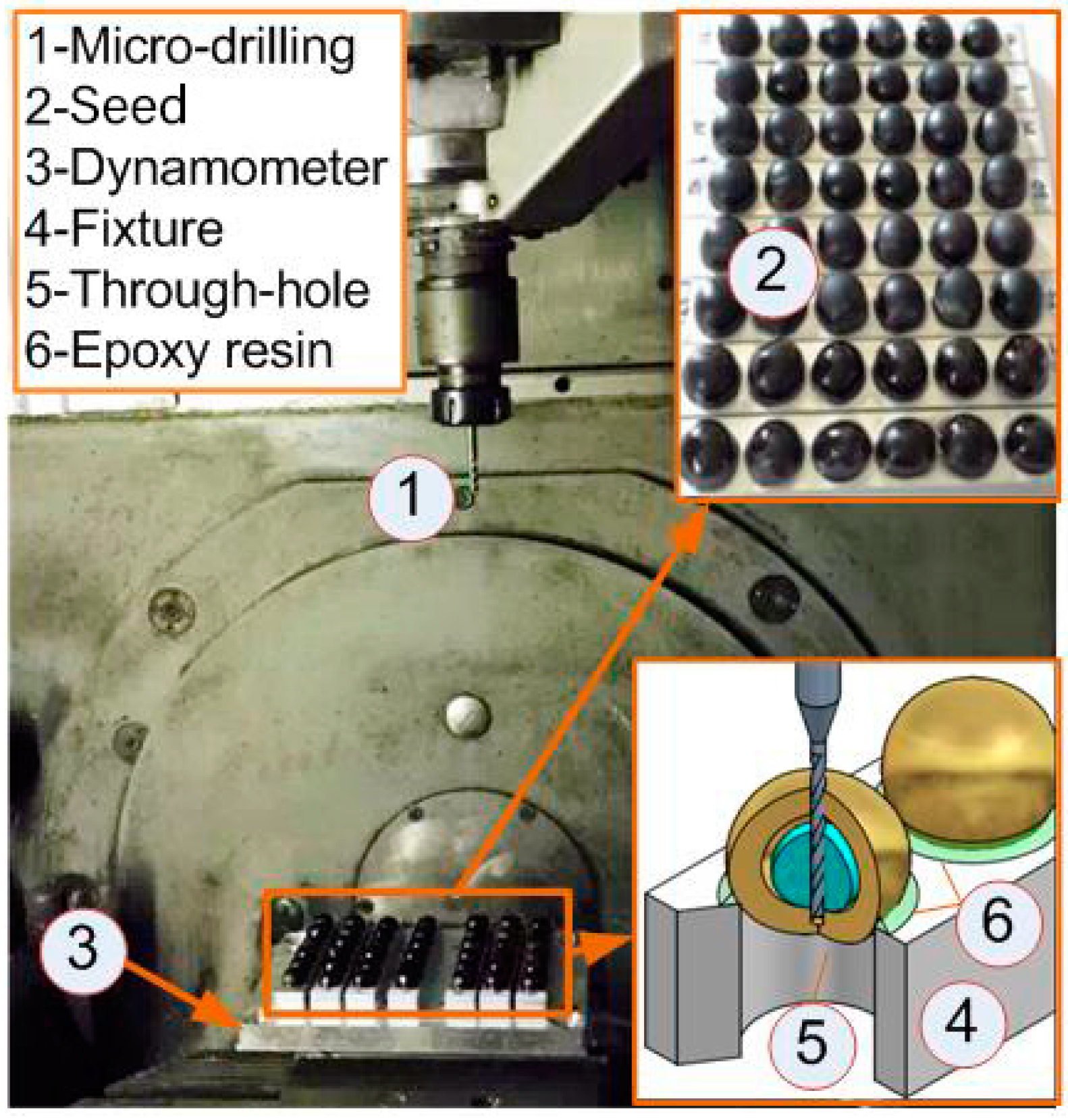 Forests 14 01162 g003