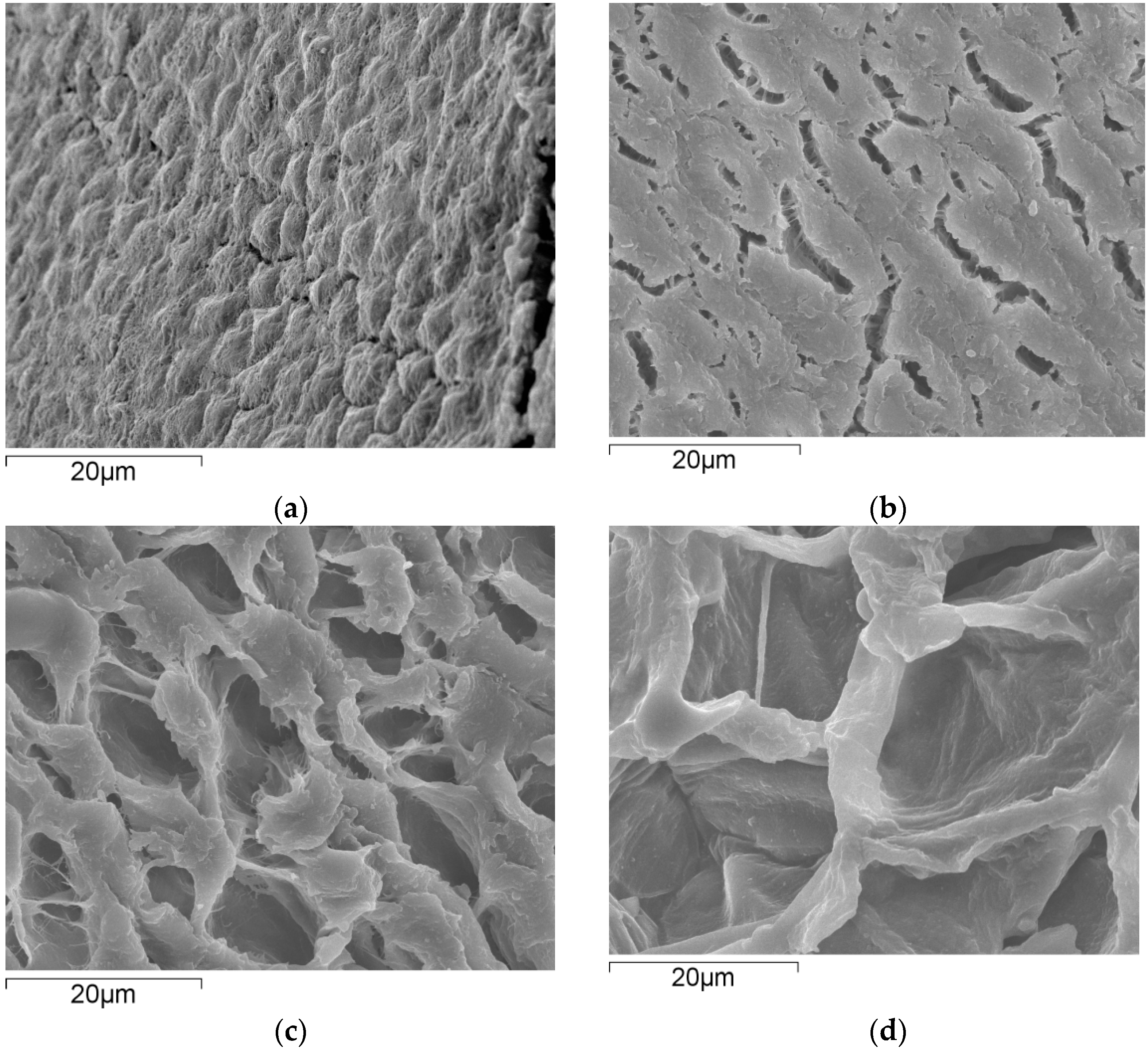 Forests 14 01162 g004