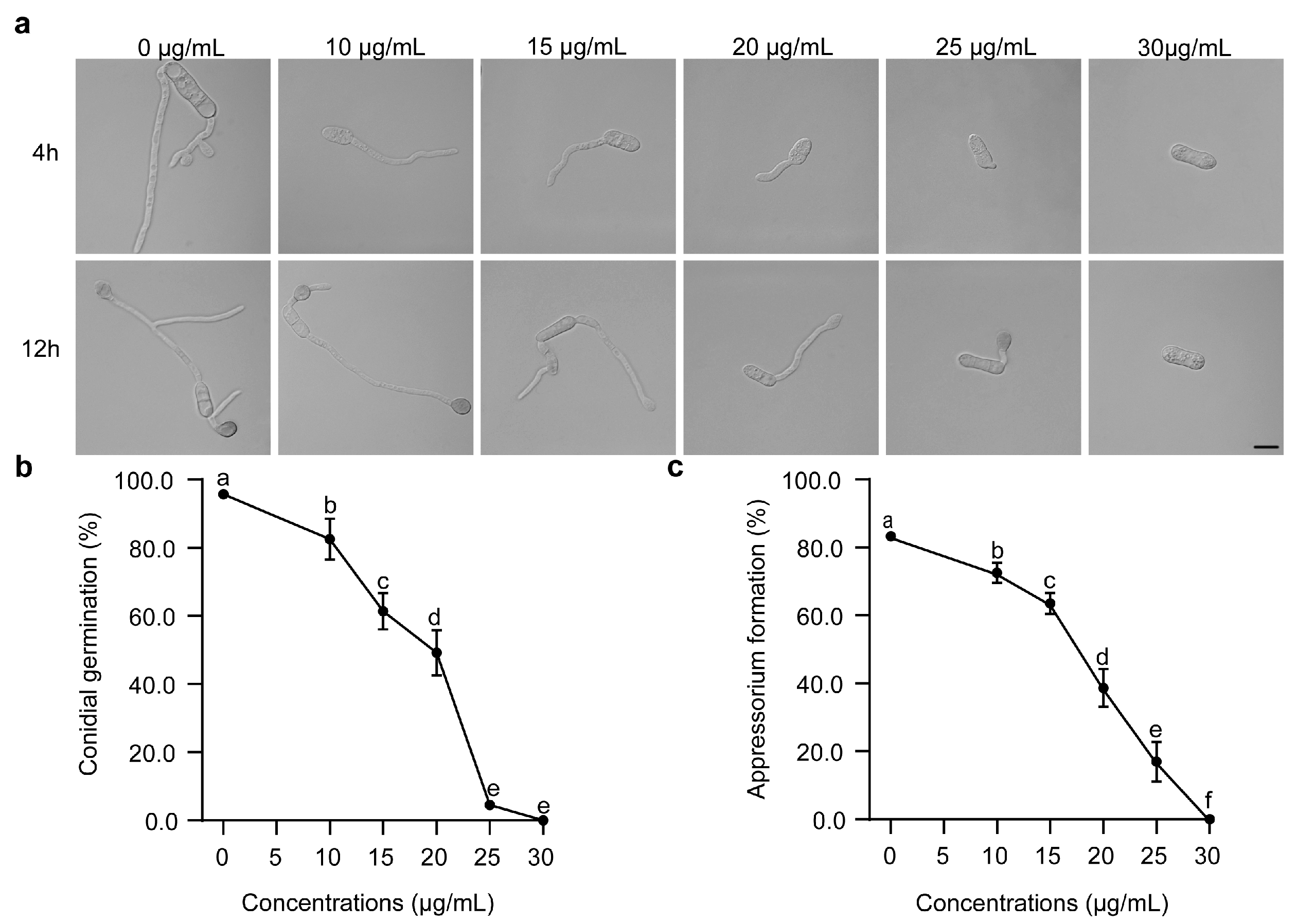 Forests 14 01172 g002
