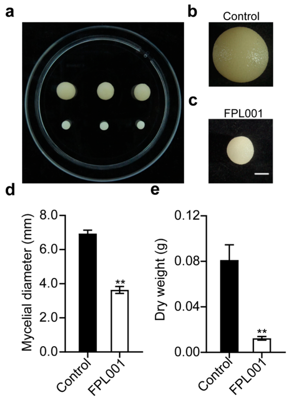 Forests 14 01172 g004