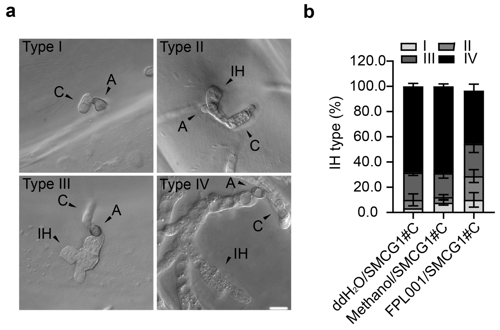Forests 14 01172 g005