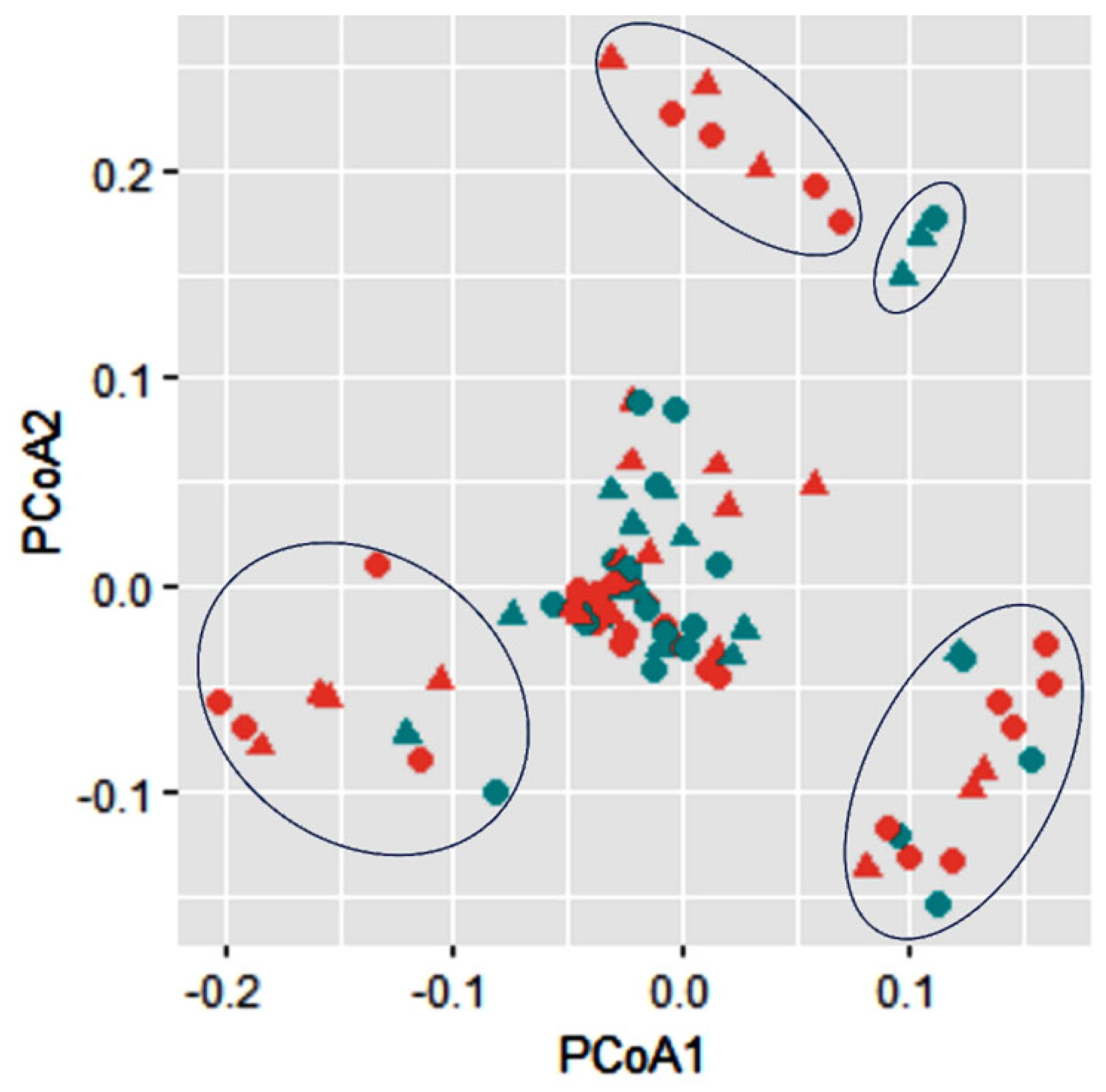 Forests 14 01180 g004 Forests 14 01180 g004