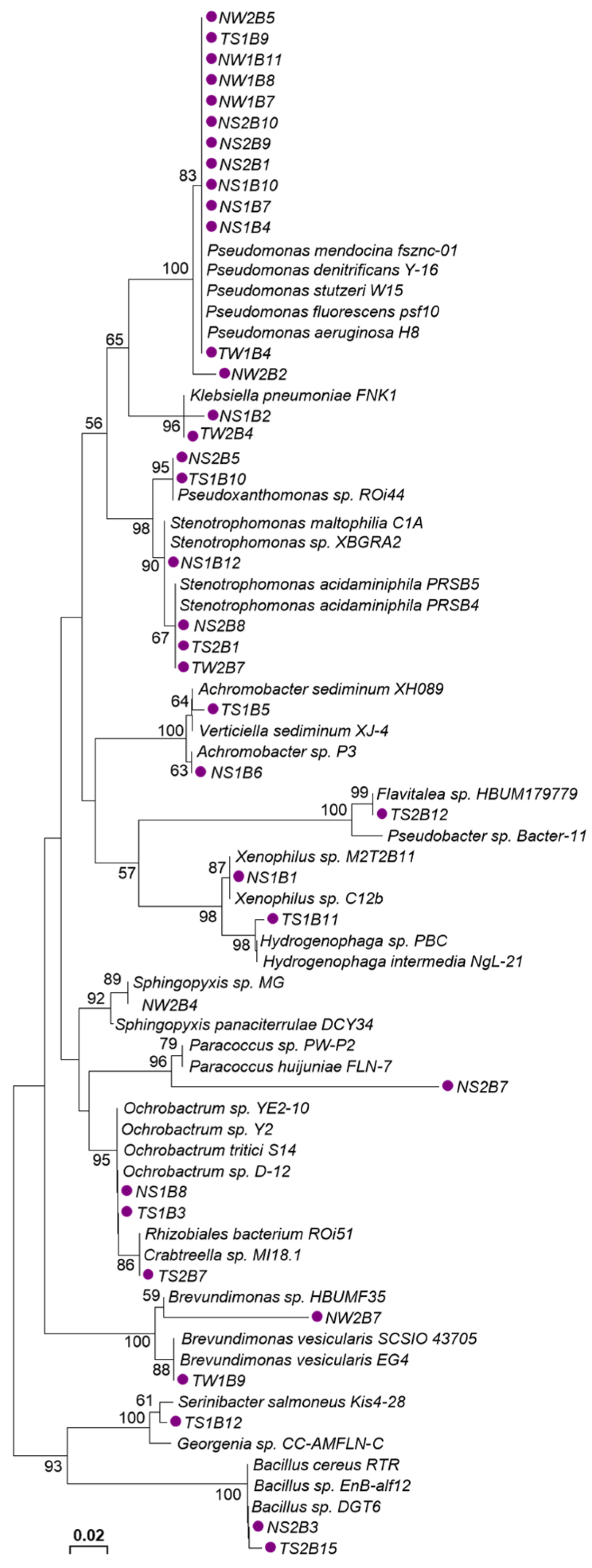 Forests 14 01180 g006 Forests 14 01180 g006