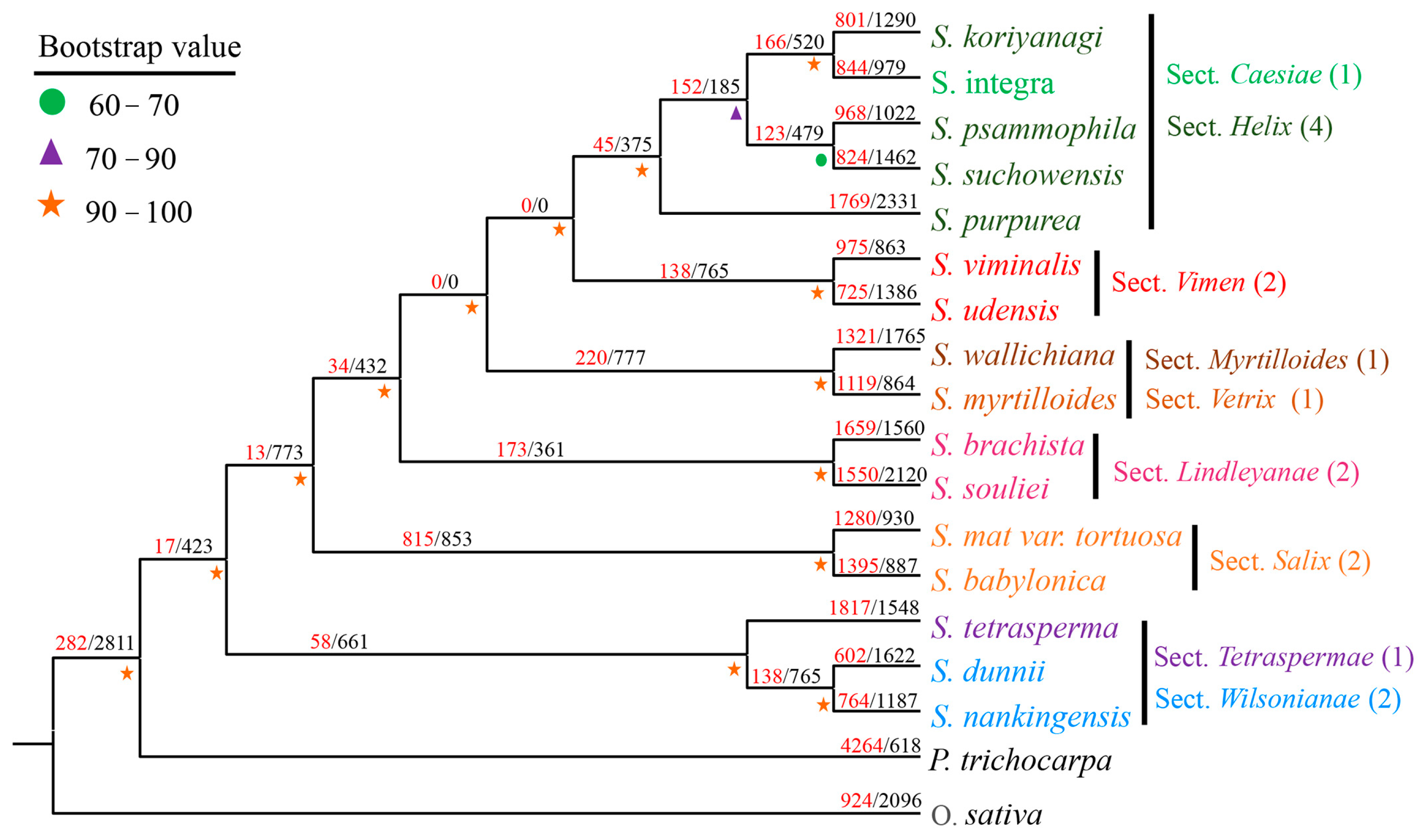 Forests 14 01182 g003
