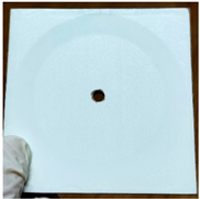 Forests 14 01189 i001