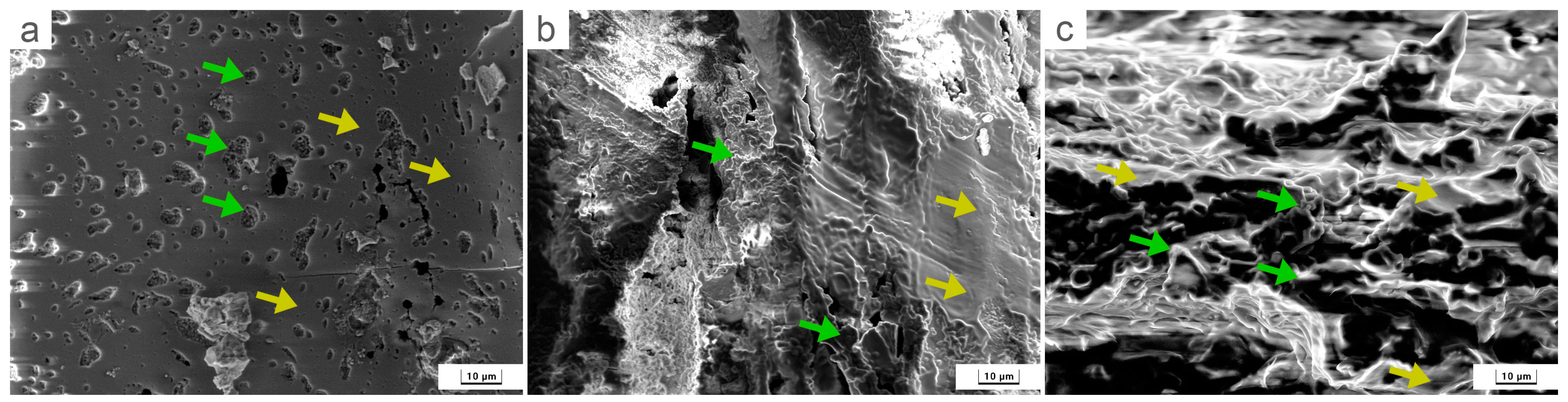 Forests 14 01190 g003
