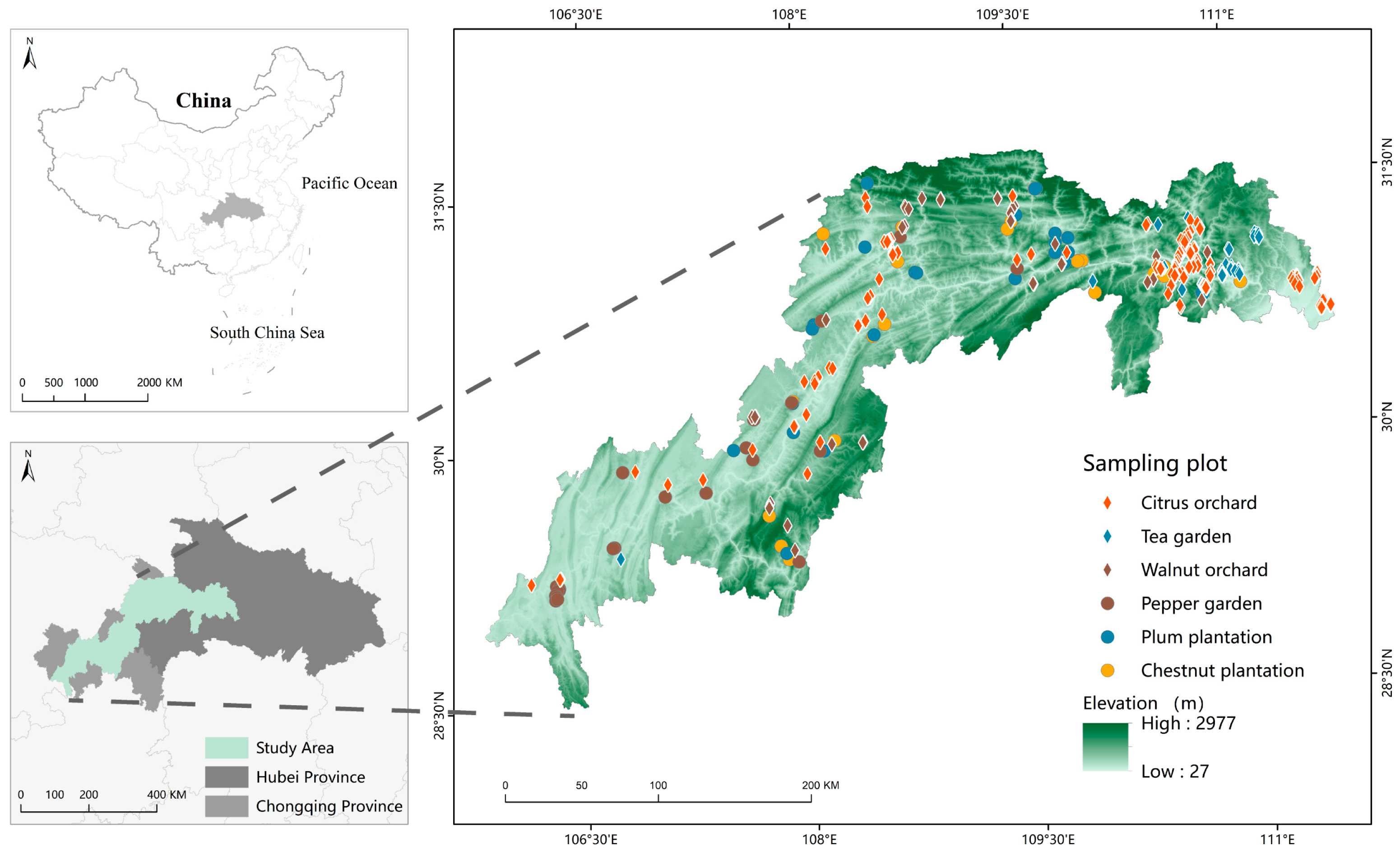 Forests 14 01204 g001