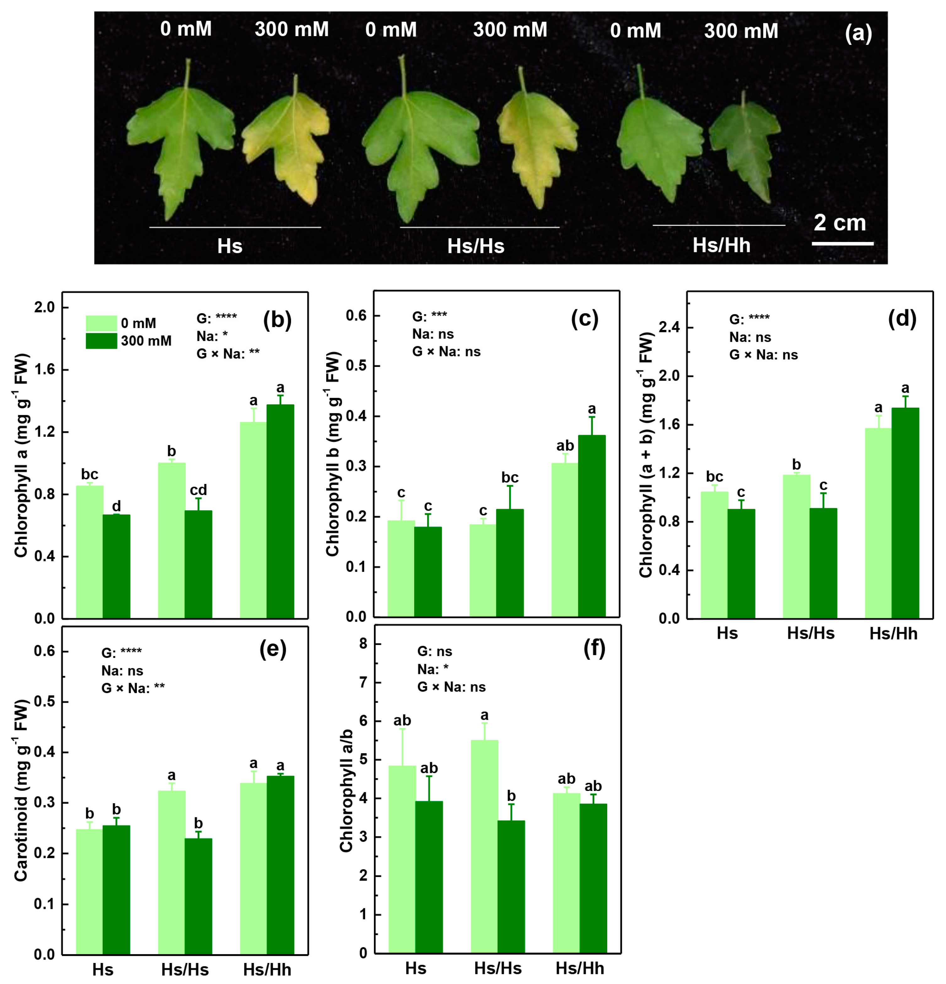 Forests 14 01226 g001 Forests 14 01226 g001