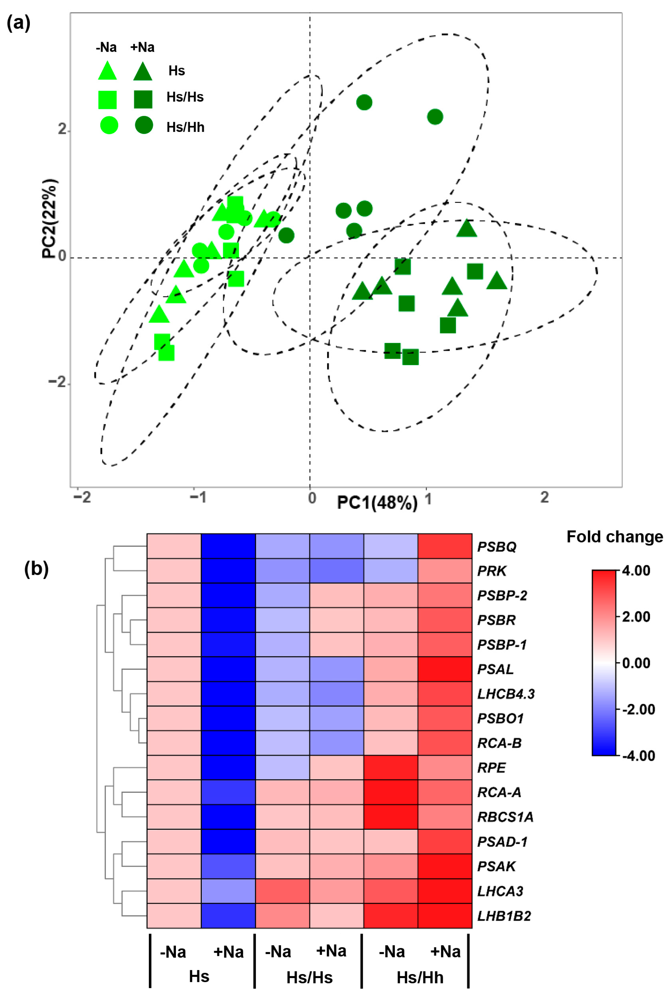 Forests 14 01226 g005 Forests 14 01226 g005
