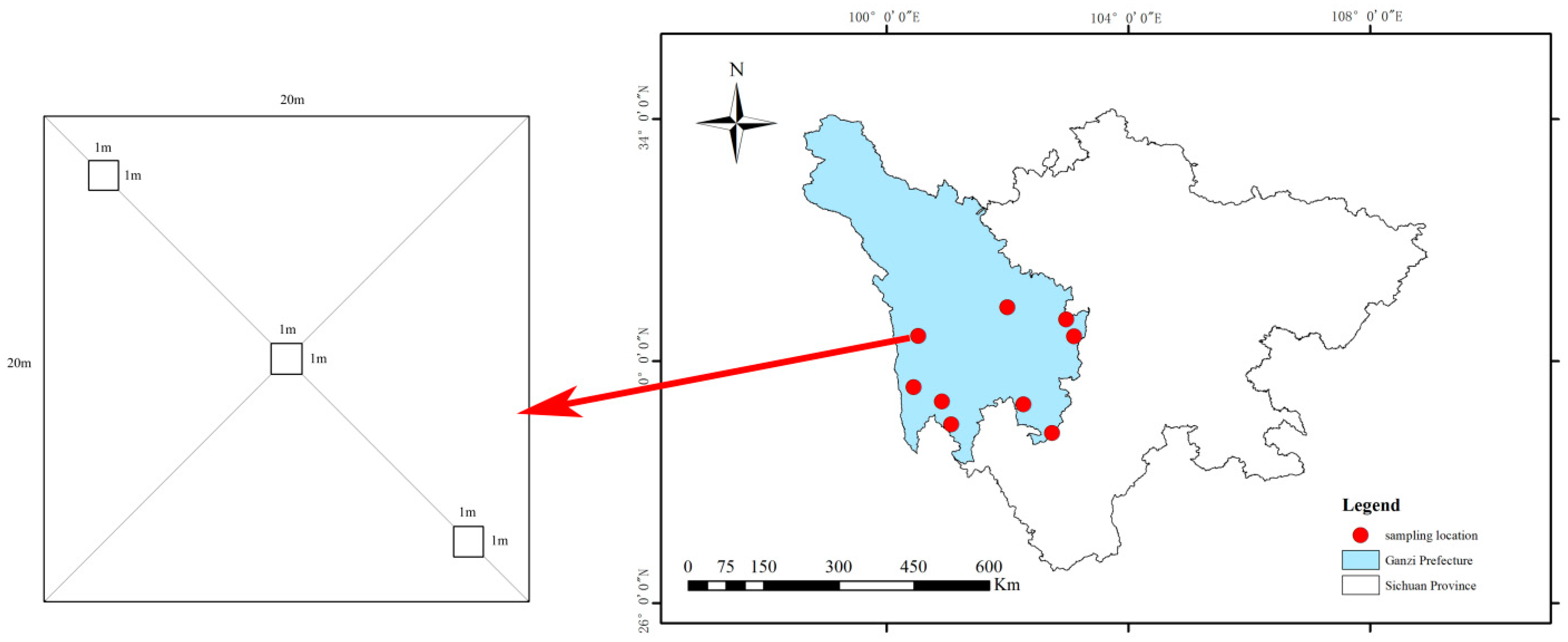 Forests 14 01229 g001 Forests 14 01229 g001