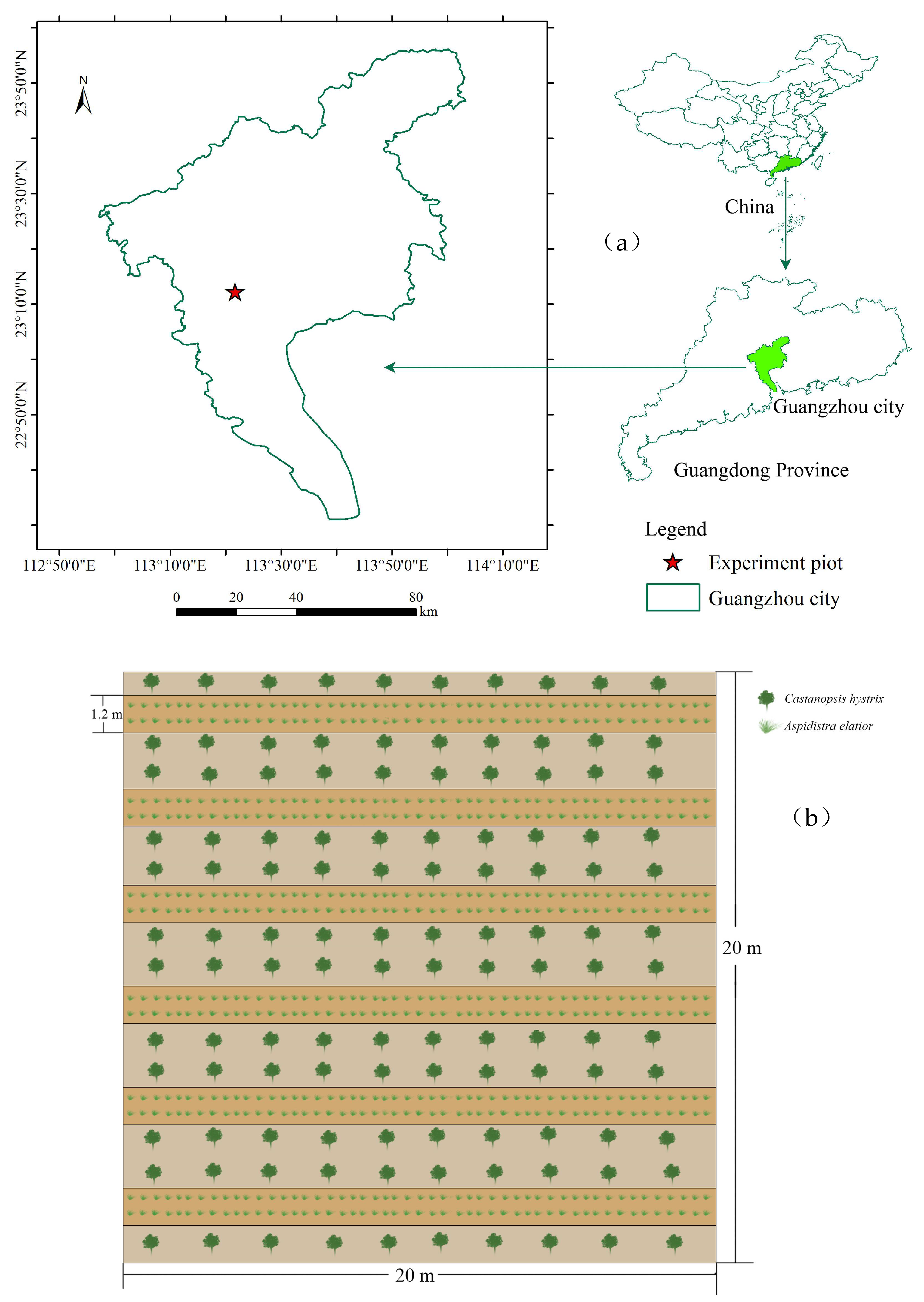 Forests 14 01233 g001 Forests 14 01233 g001