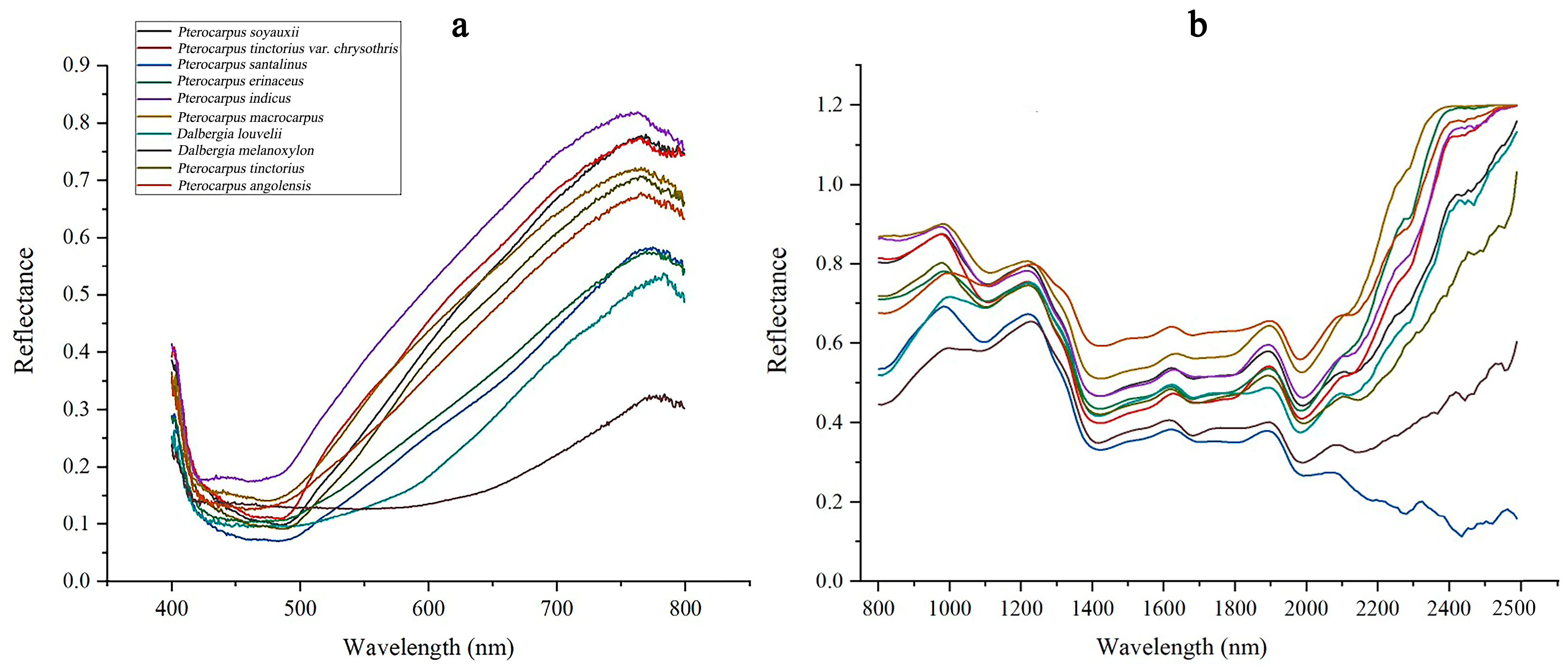 Forests 14 01259 g004