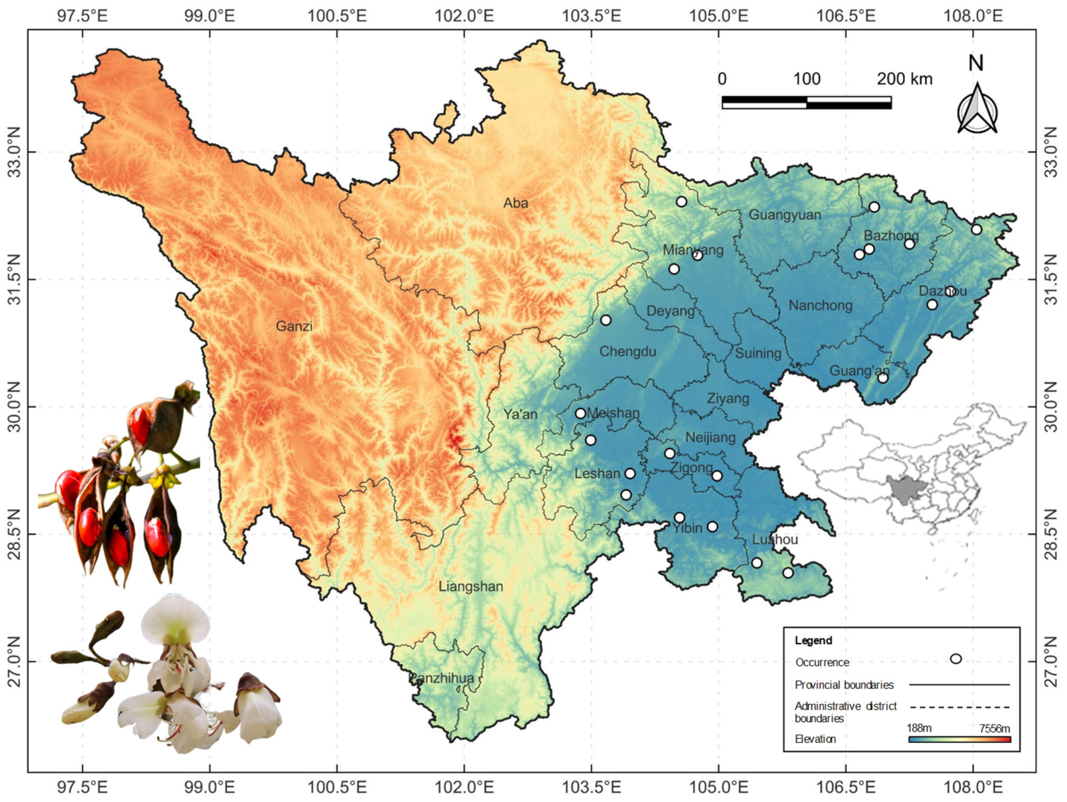 Forests 14 01261 g001 Forests 14 01261 g001